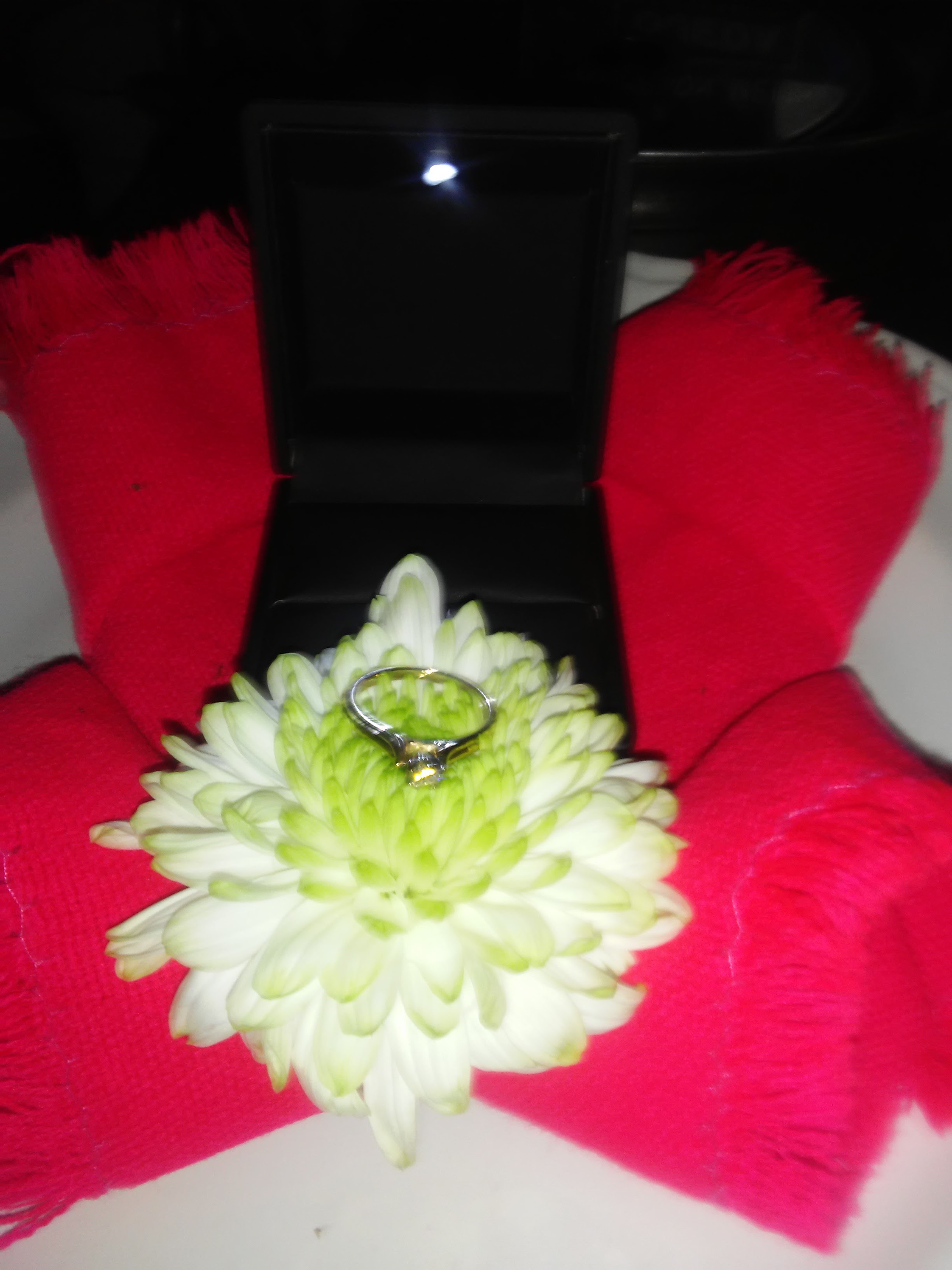 Amaranto Restaurante image 8