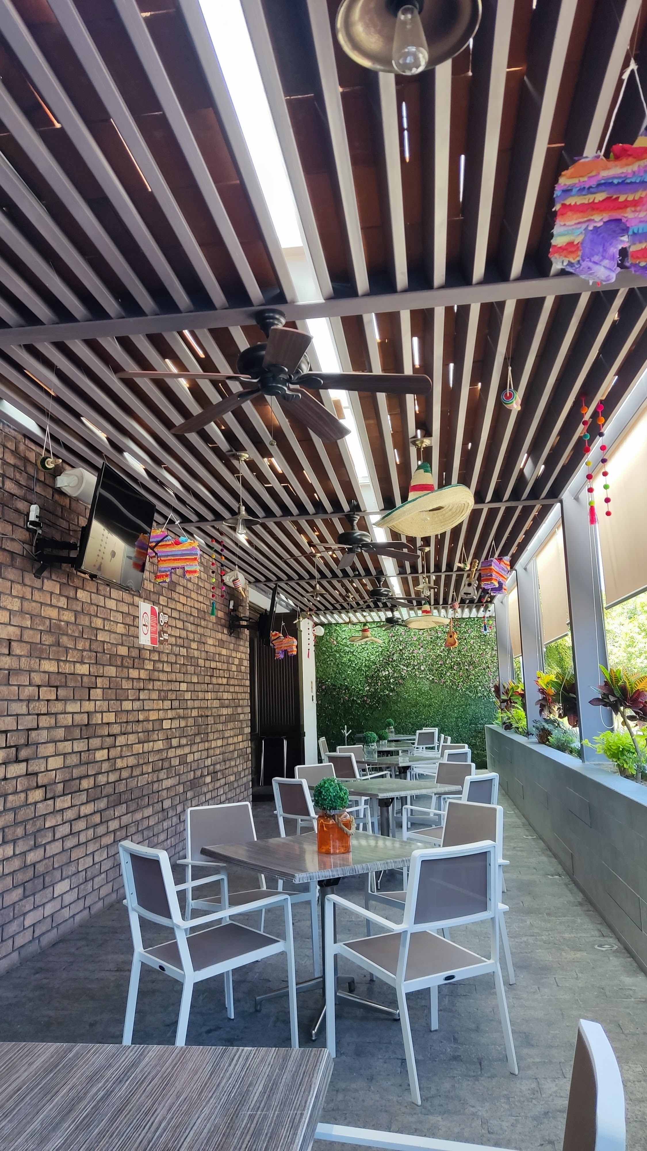 Camino Viejo image 1