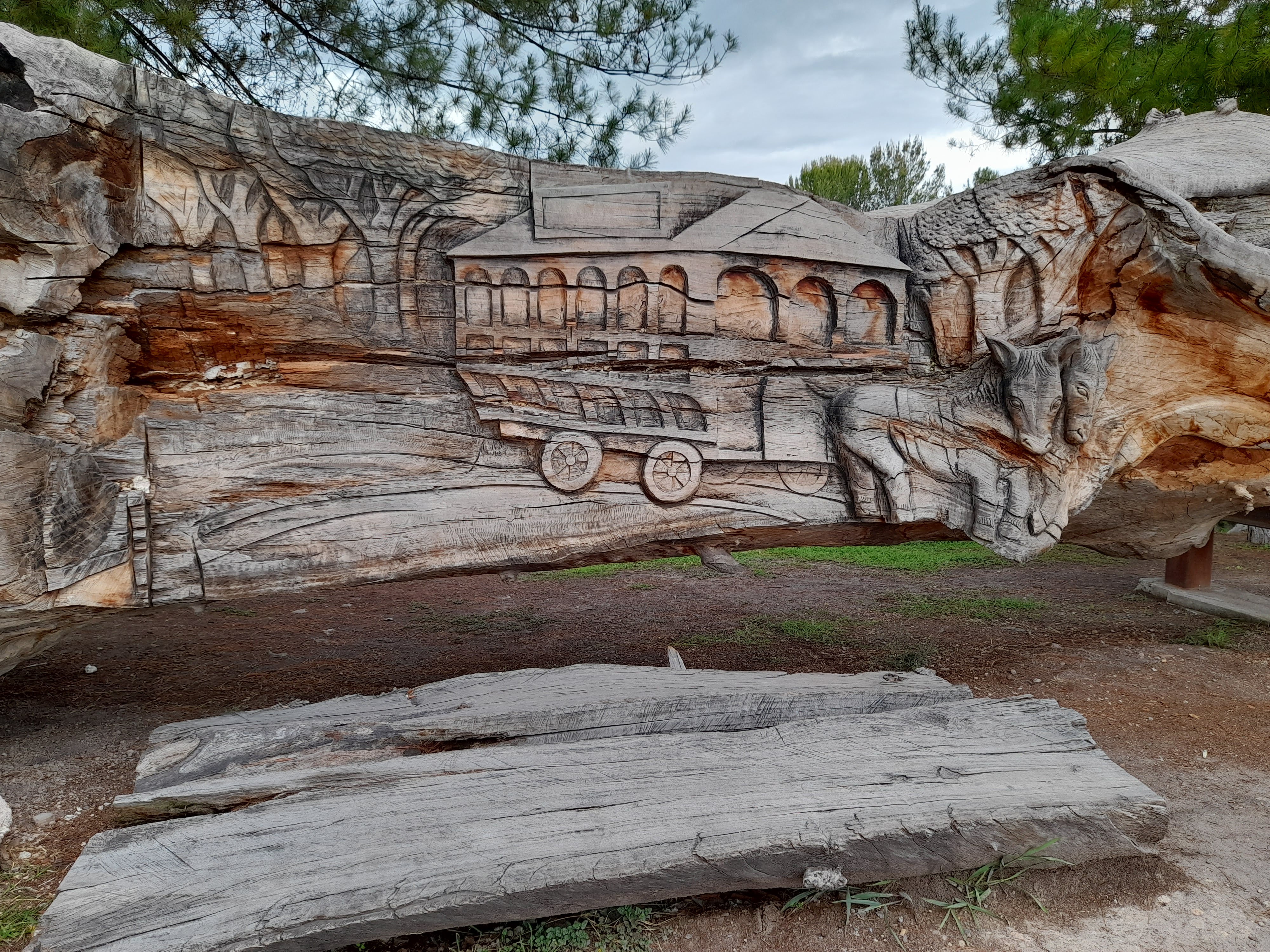 Camino Viejo image 5