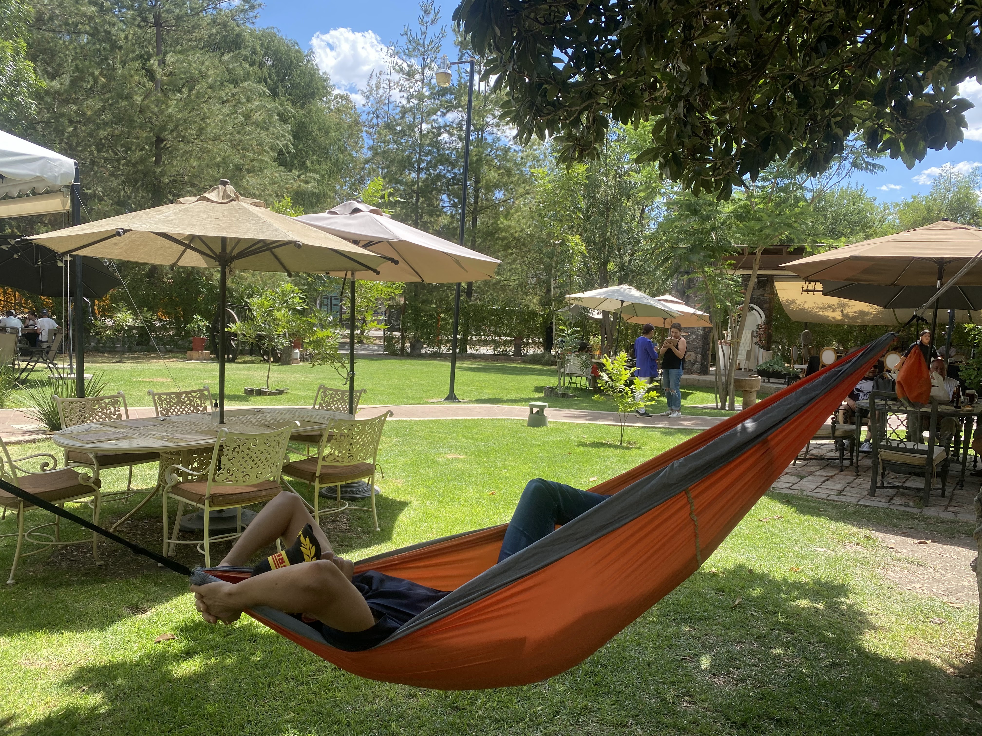 Pérgola Restaurante Jalpa de Cánovas image 4