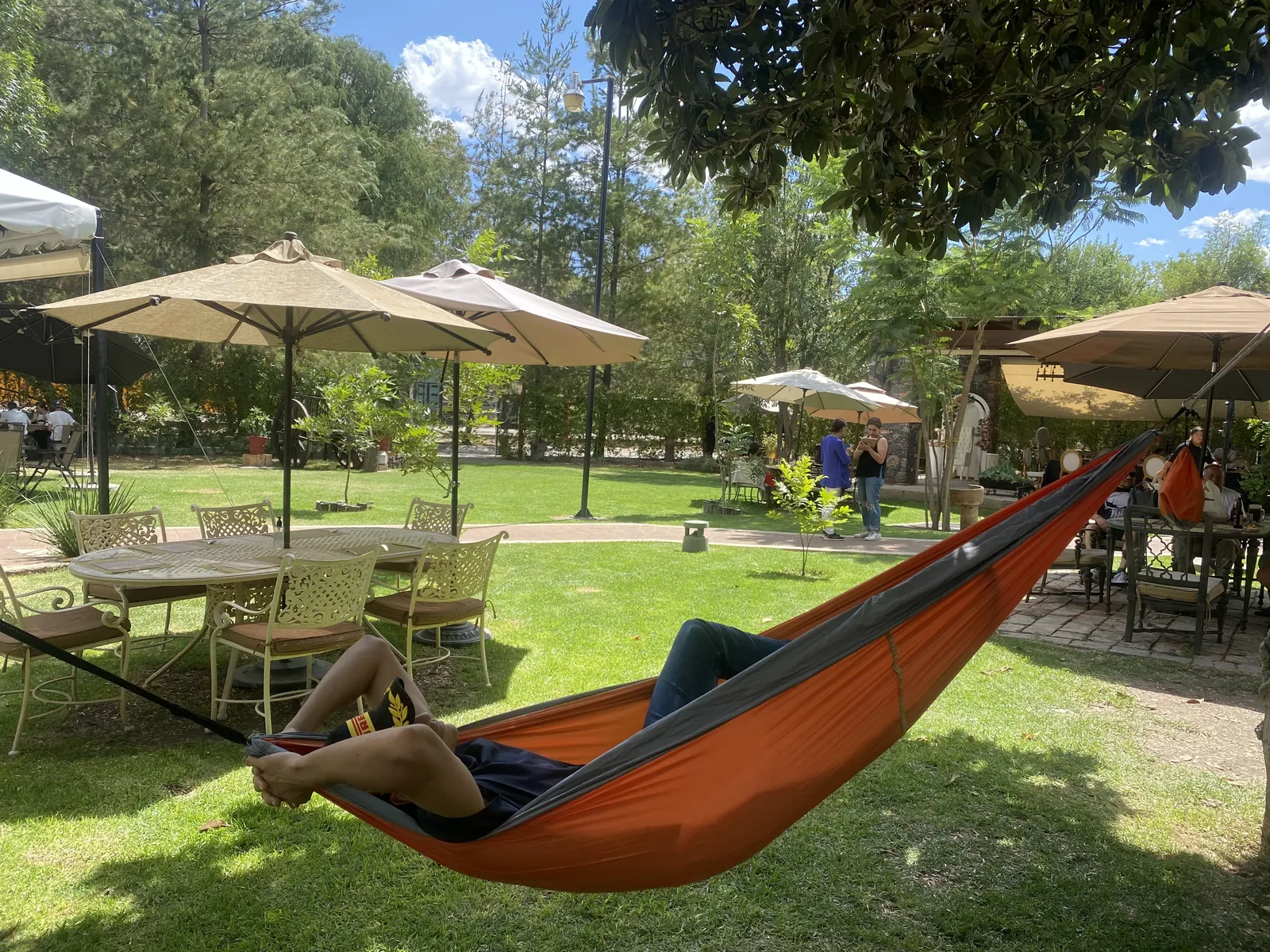 Pérgola Restaurante Jalpa de Cánovas image 4