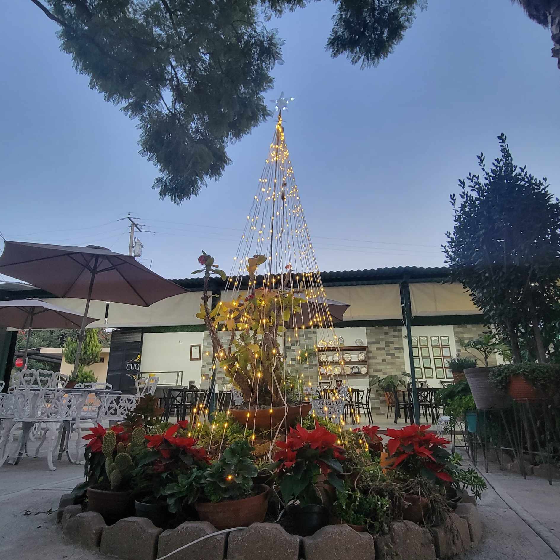 Restaurante Cuquita image 5