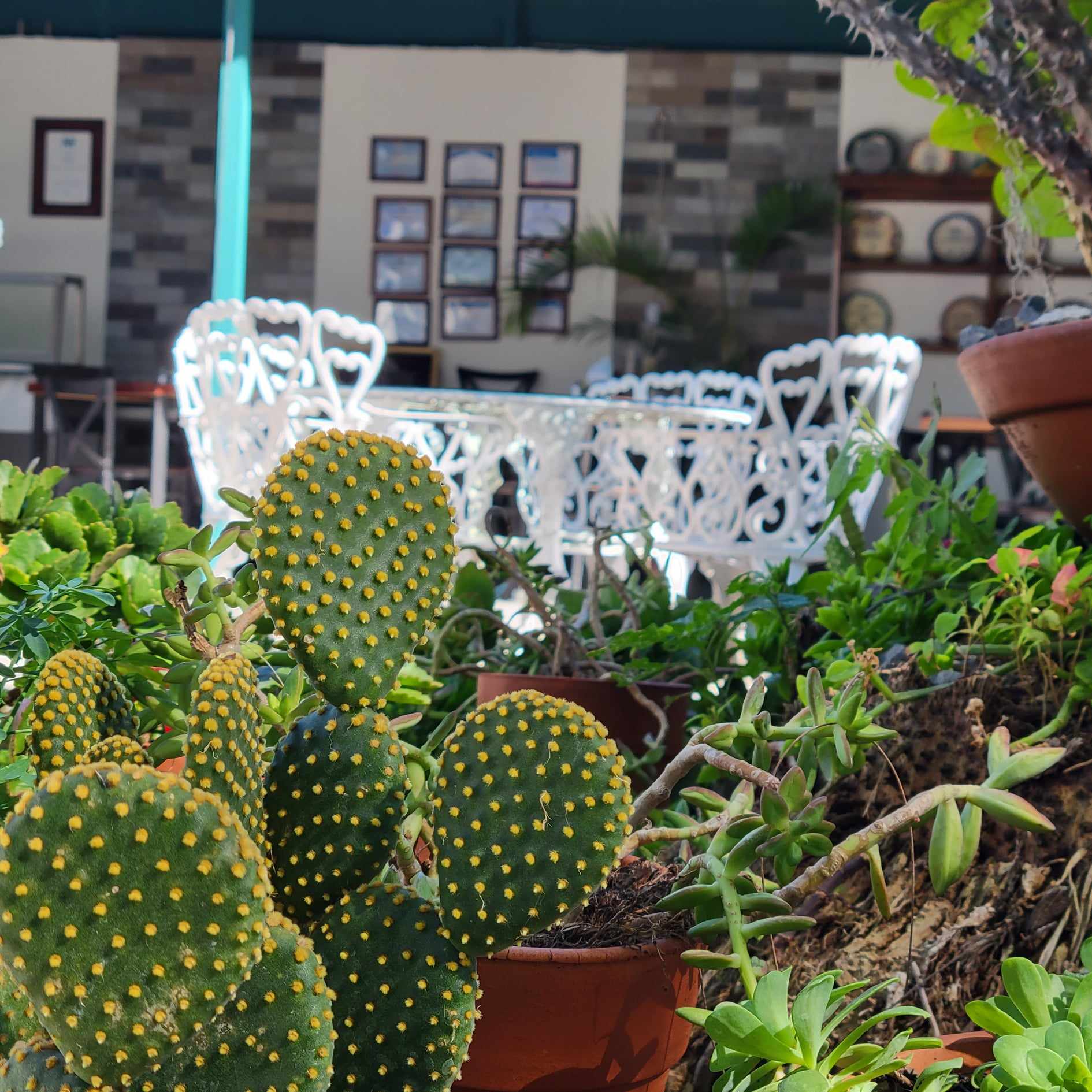 Restaurante Cuquita image 6