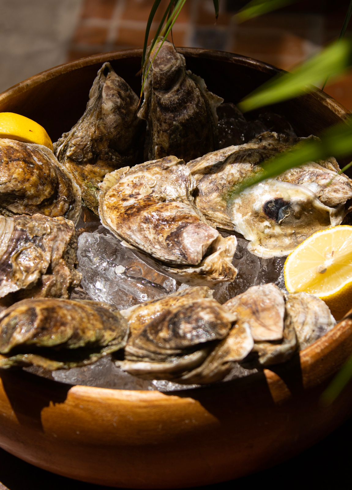 Restaurant SAMBUCA image 3