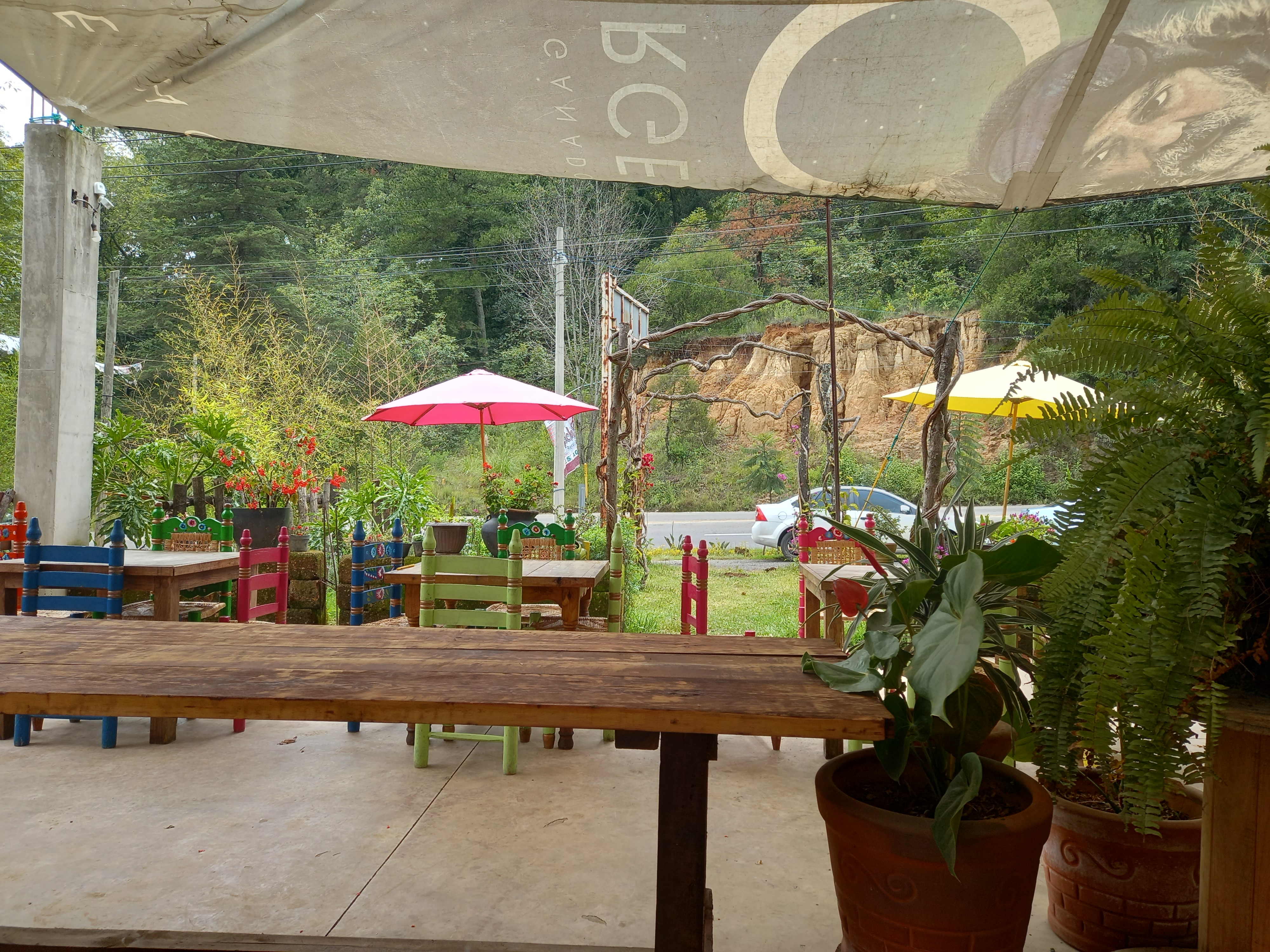 Restaurant Tapichos image 9