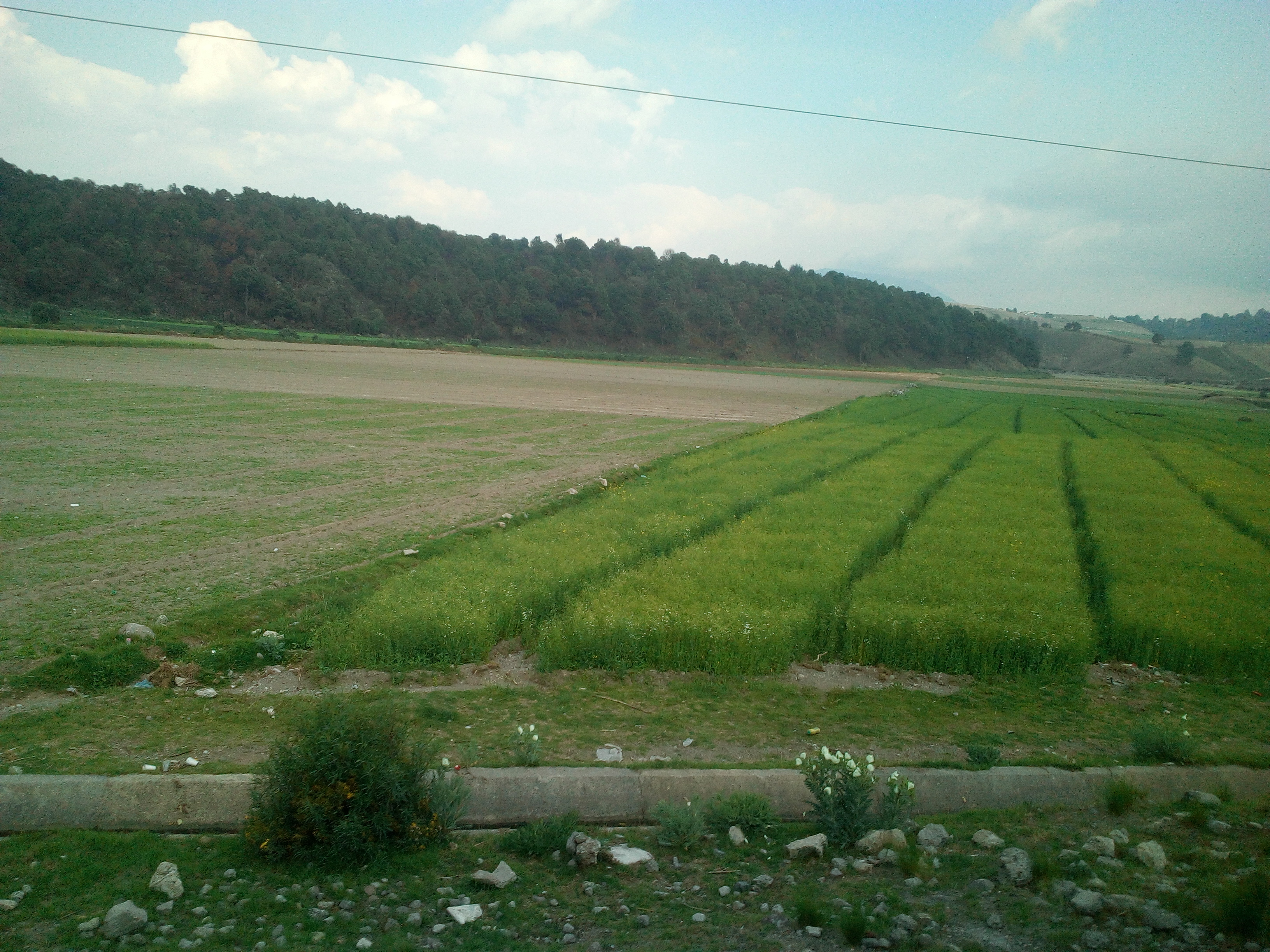 Restaurante la ciénega image 5