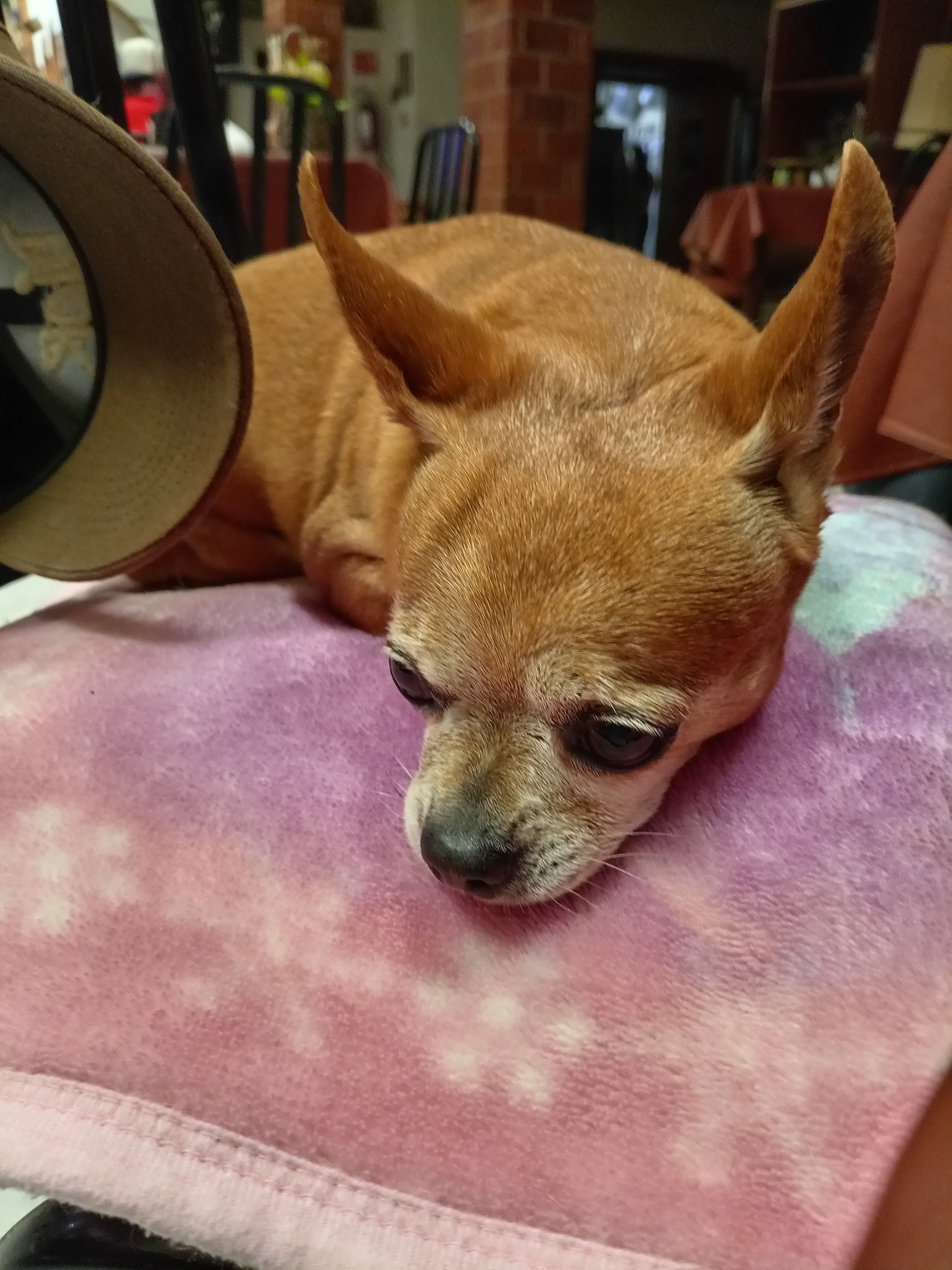 Casa de los Abuelos image 3