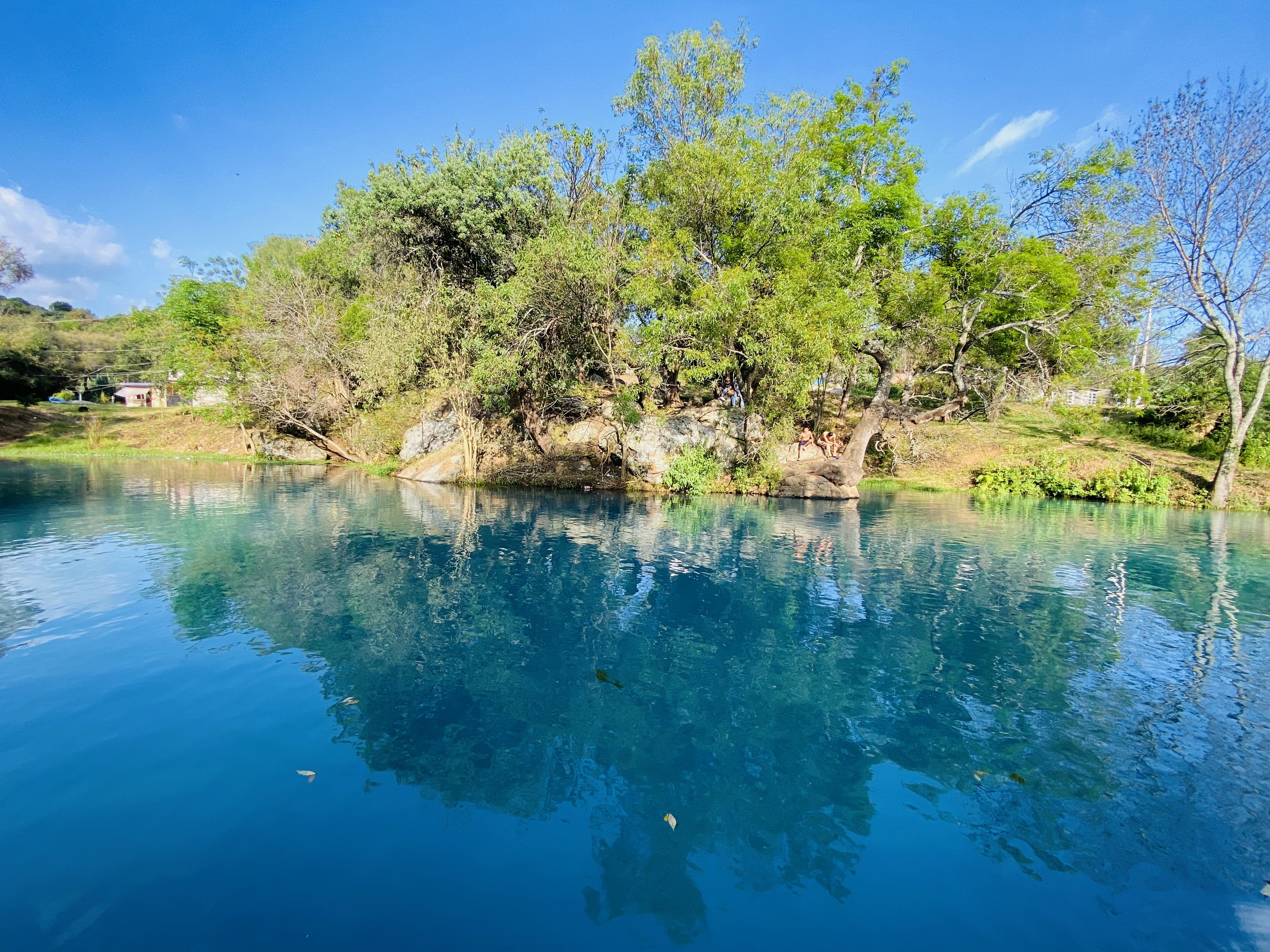 Truchas el Ahuehuete Restaurant image 4