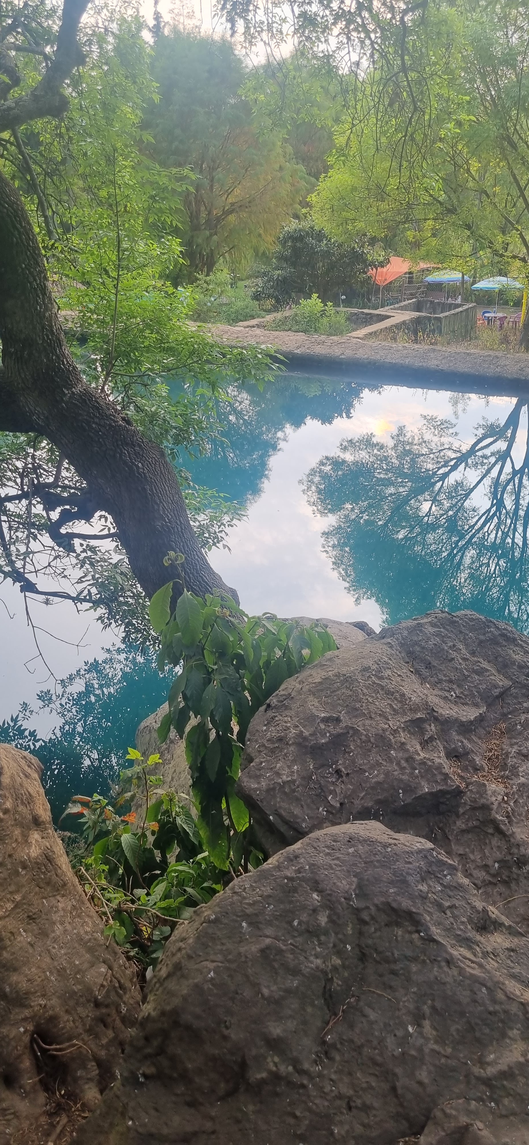 Truchas el Ahuehuete Restaurant image 7