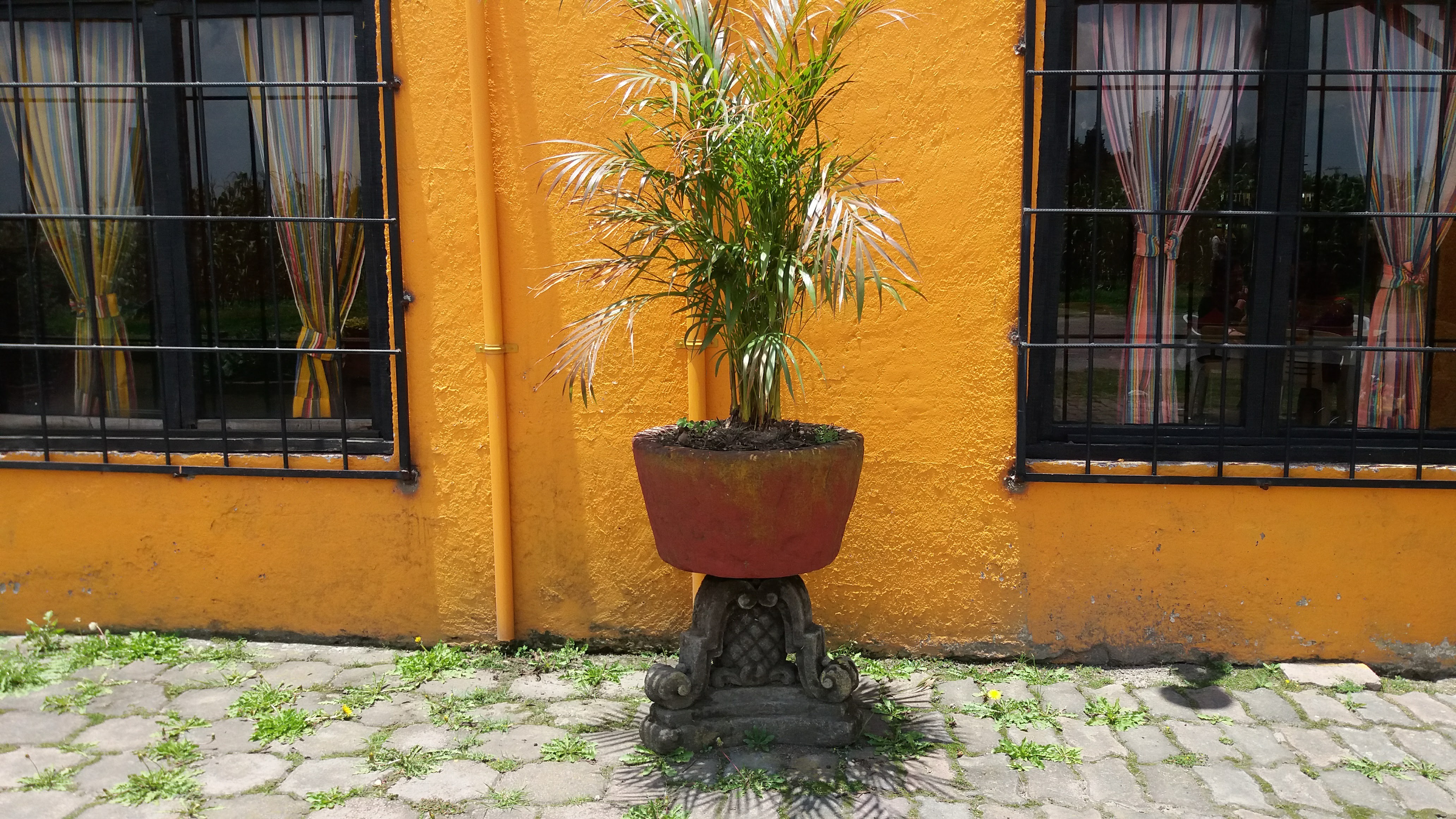 Restaurante Rancho Gloria image 6