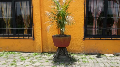 Restaurante Rancho Gloria image 6