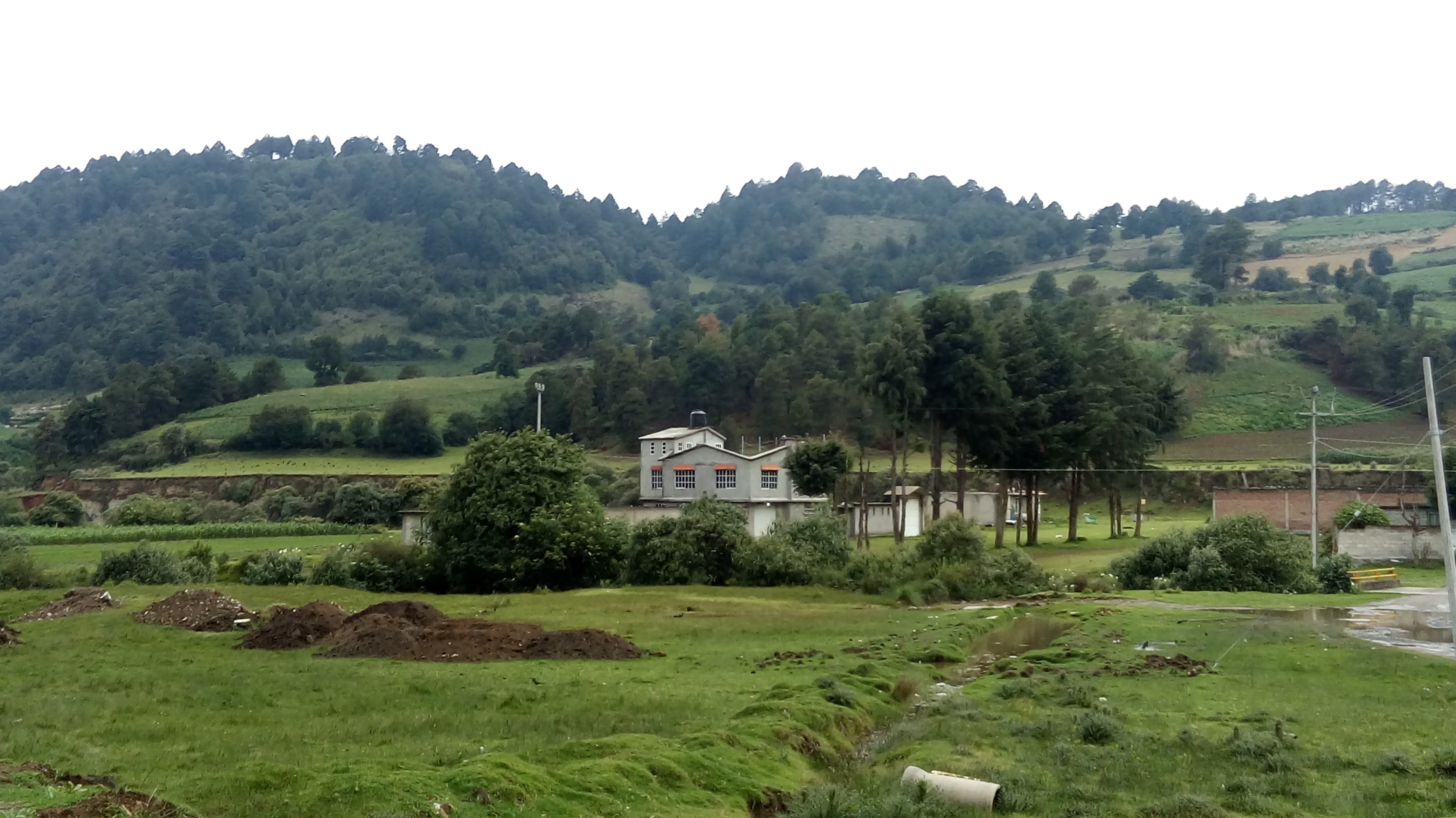 Restaurante Emmanuel image 7