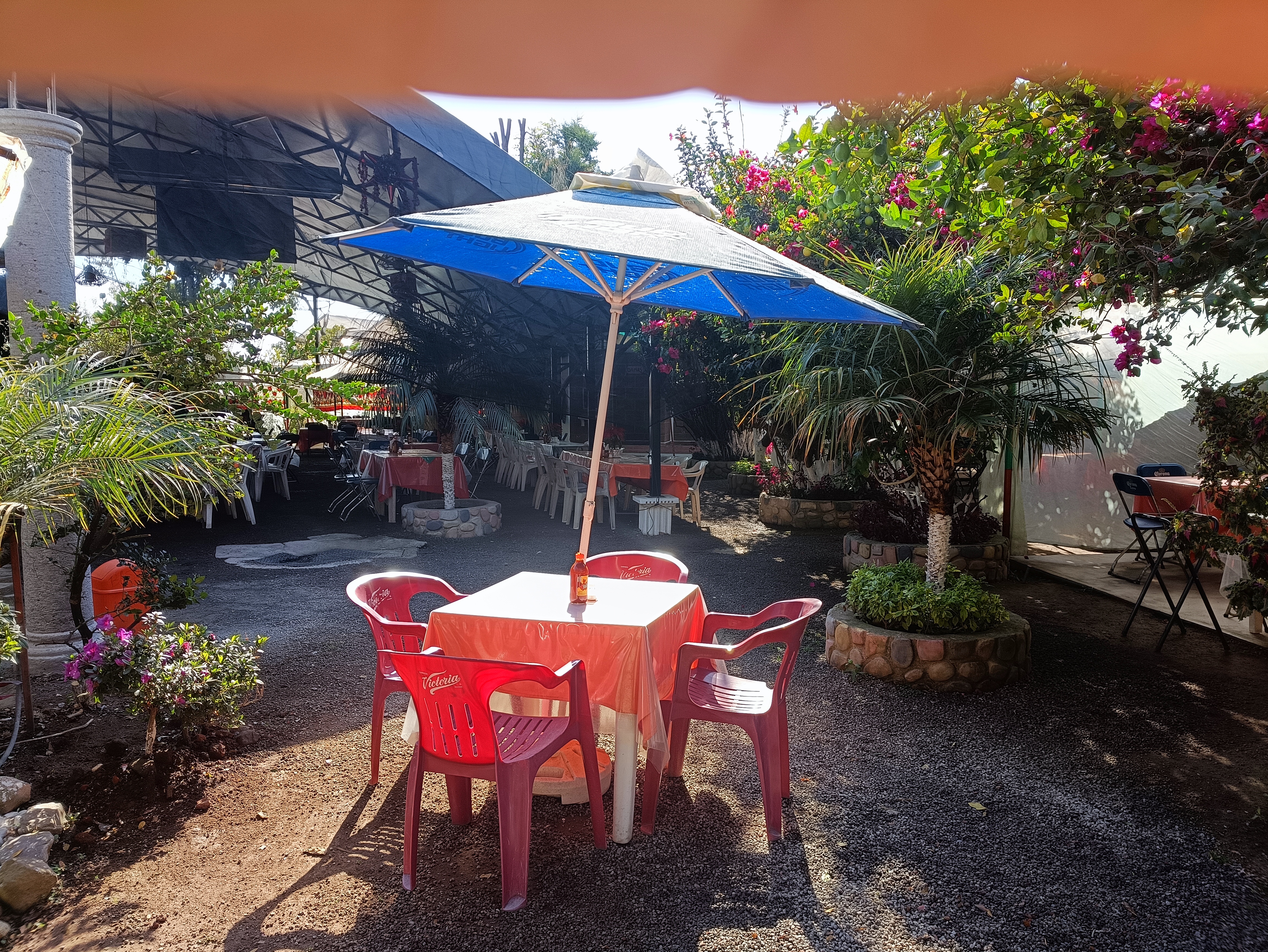 Restaurante El Carrizal image 1