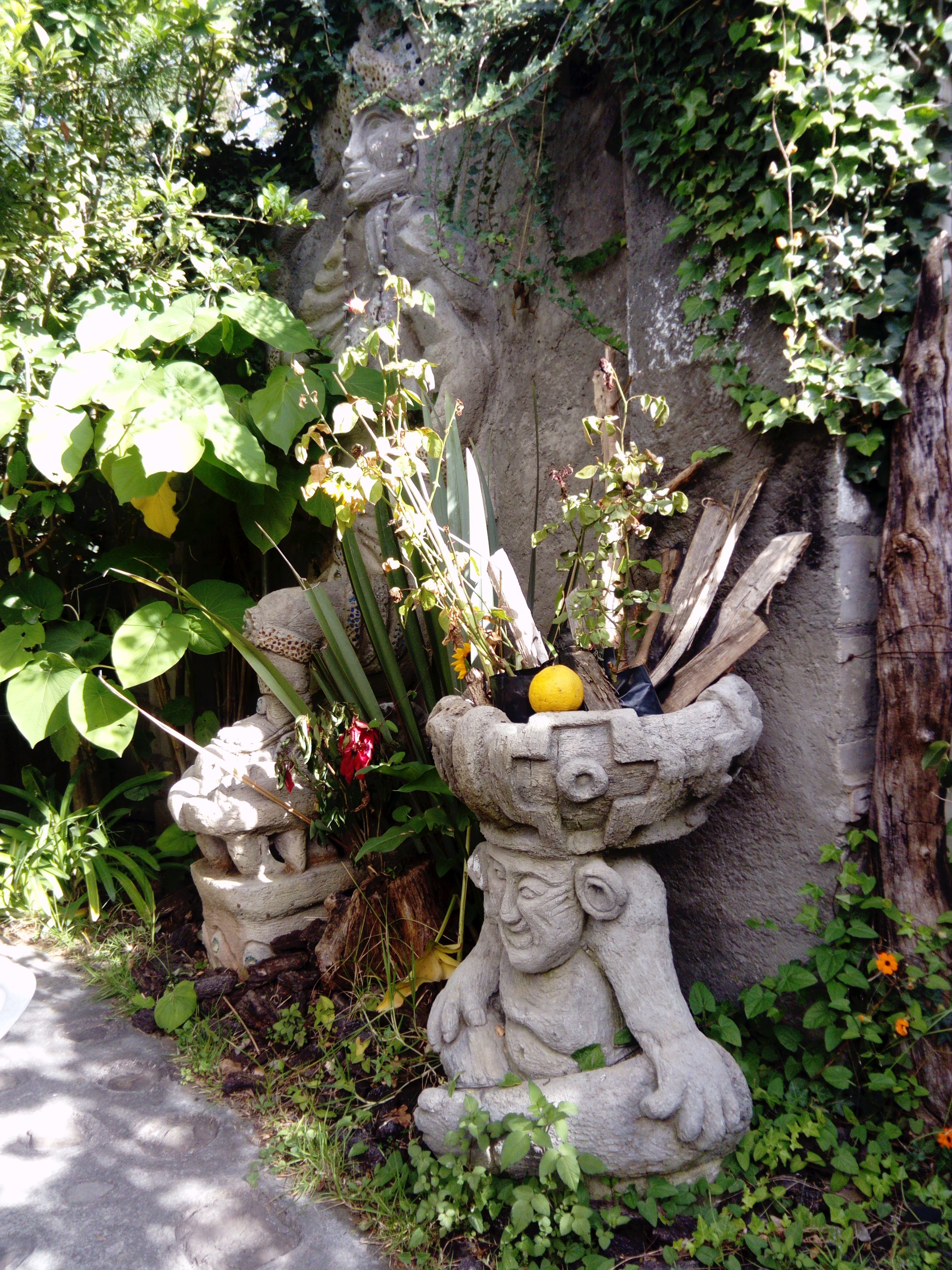 Las Acacias image 3