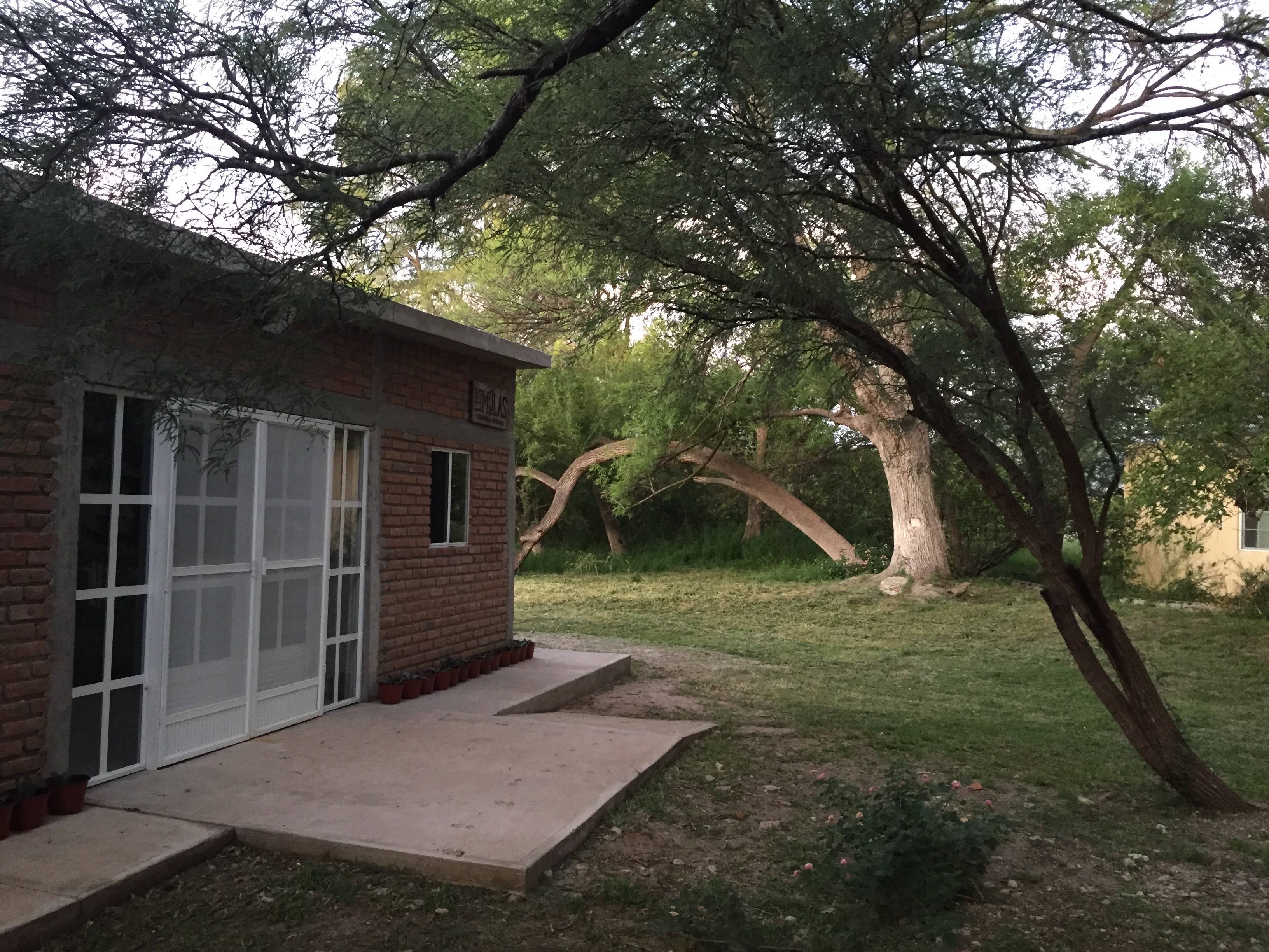 LA CASA DE LOS MULAS // Cerveza Artesanal & Pizza image 9