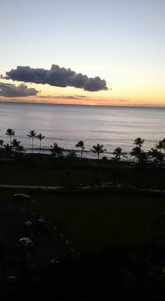 Pollos El Primo image 4