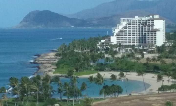 Pollos El Primo image 5