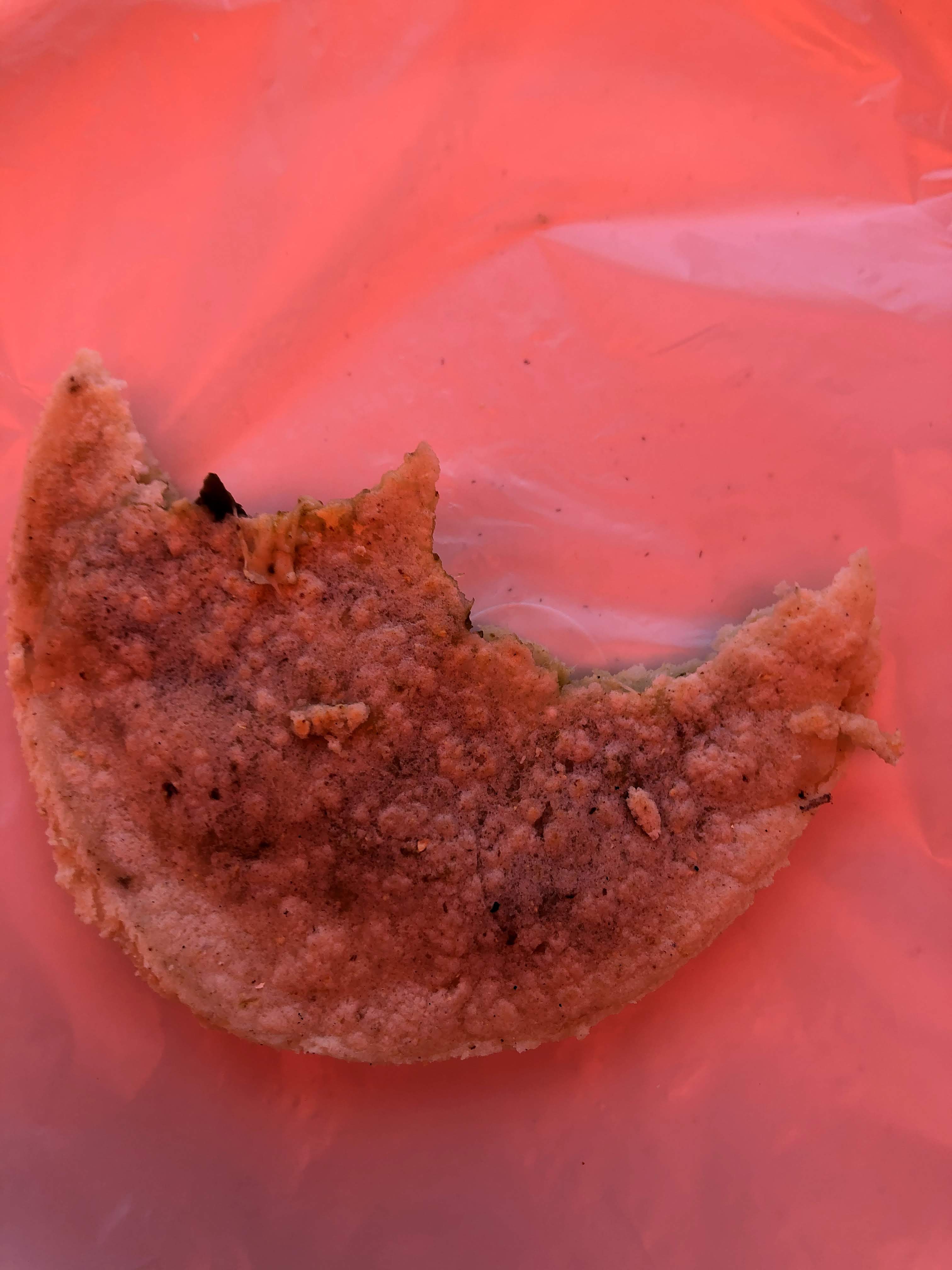 gorditas lety image 6