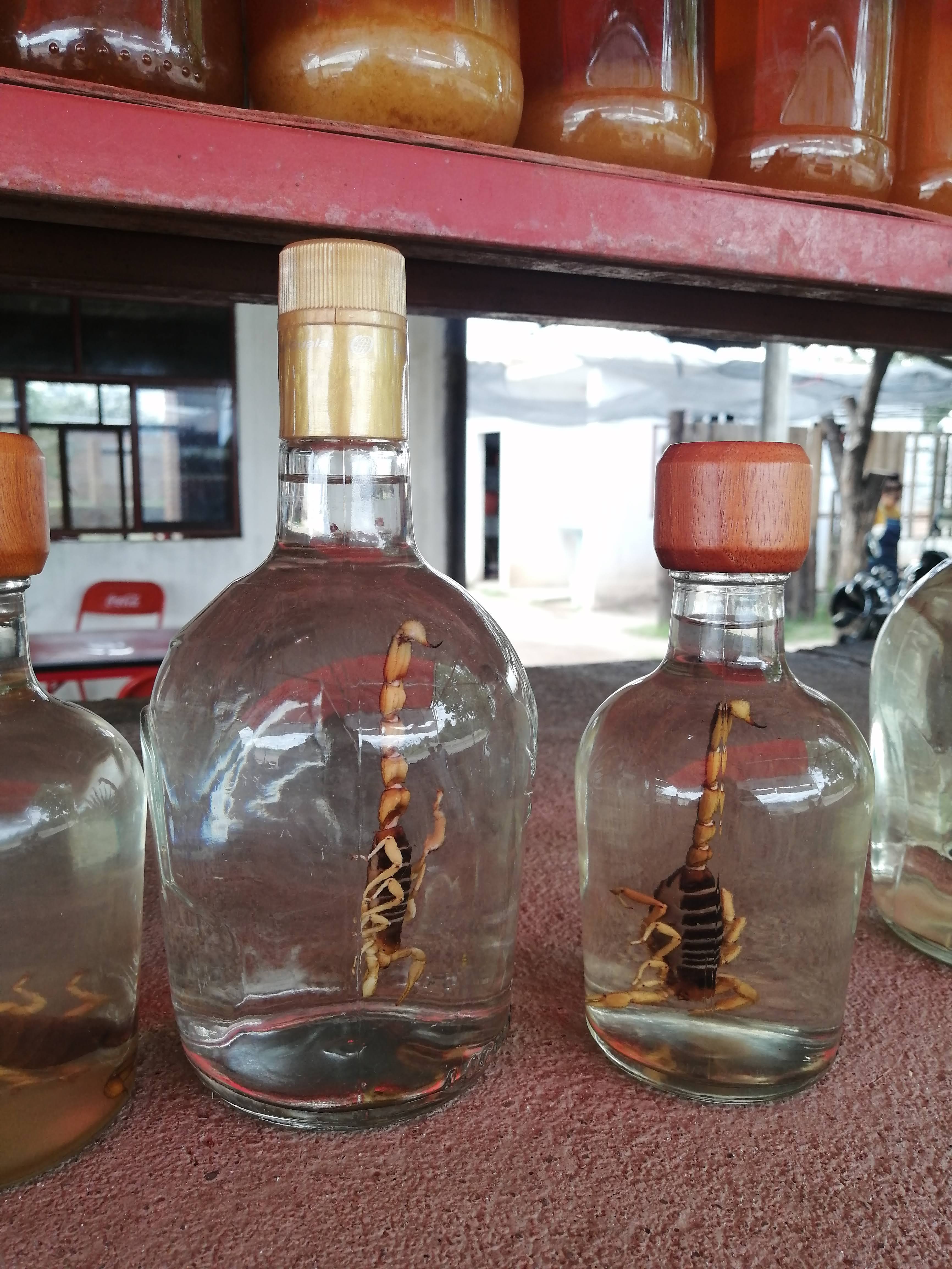 gorditas lety image 7