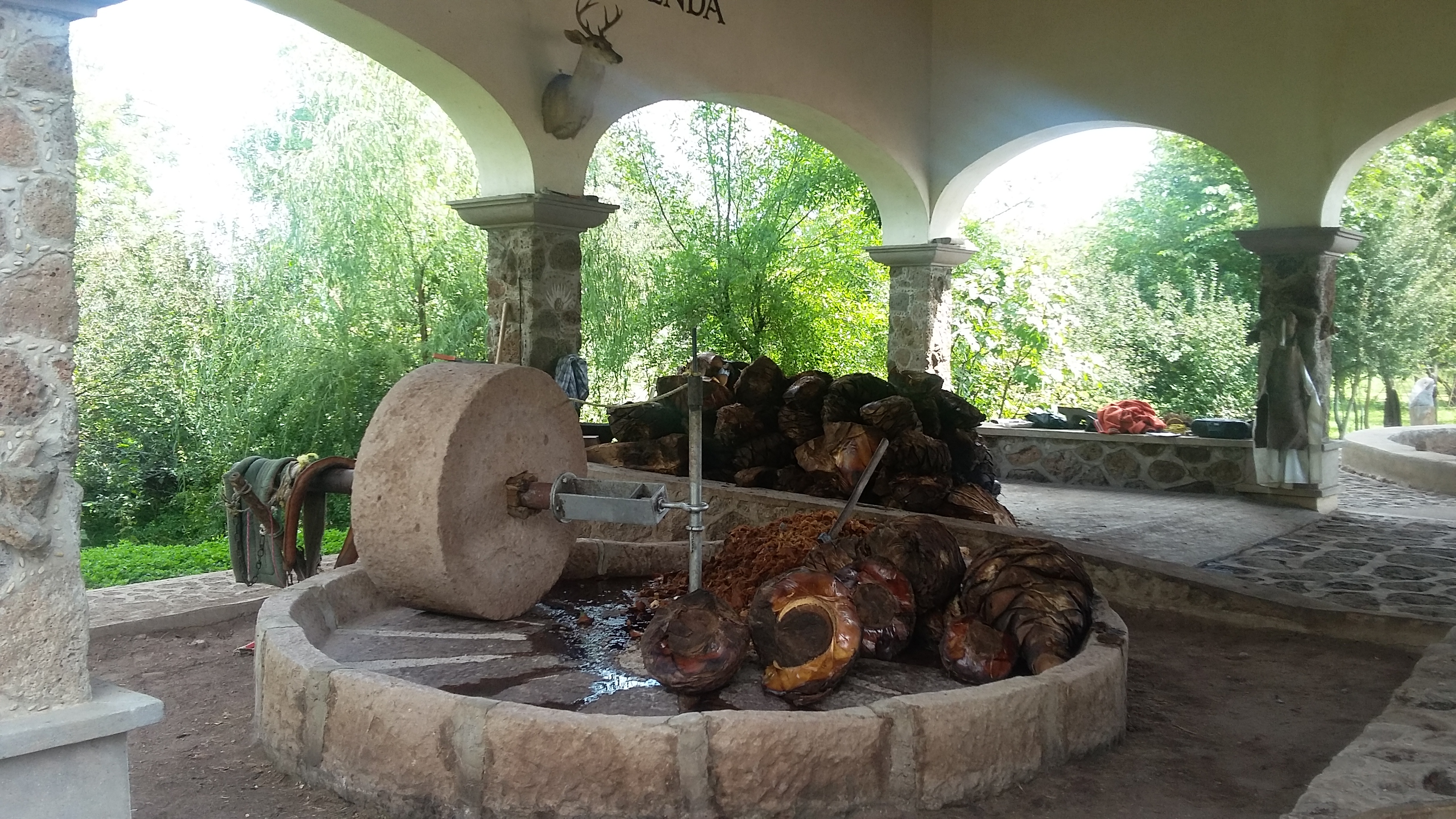 Paraiso Nixtalpan image 3