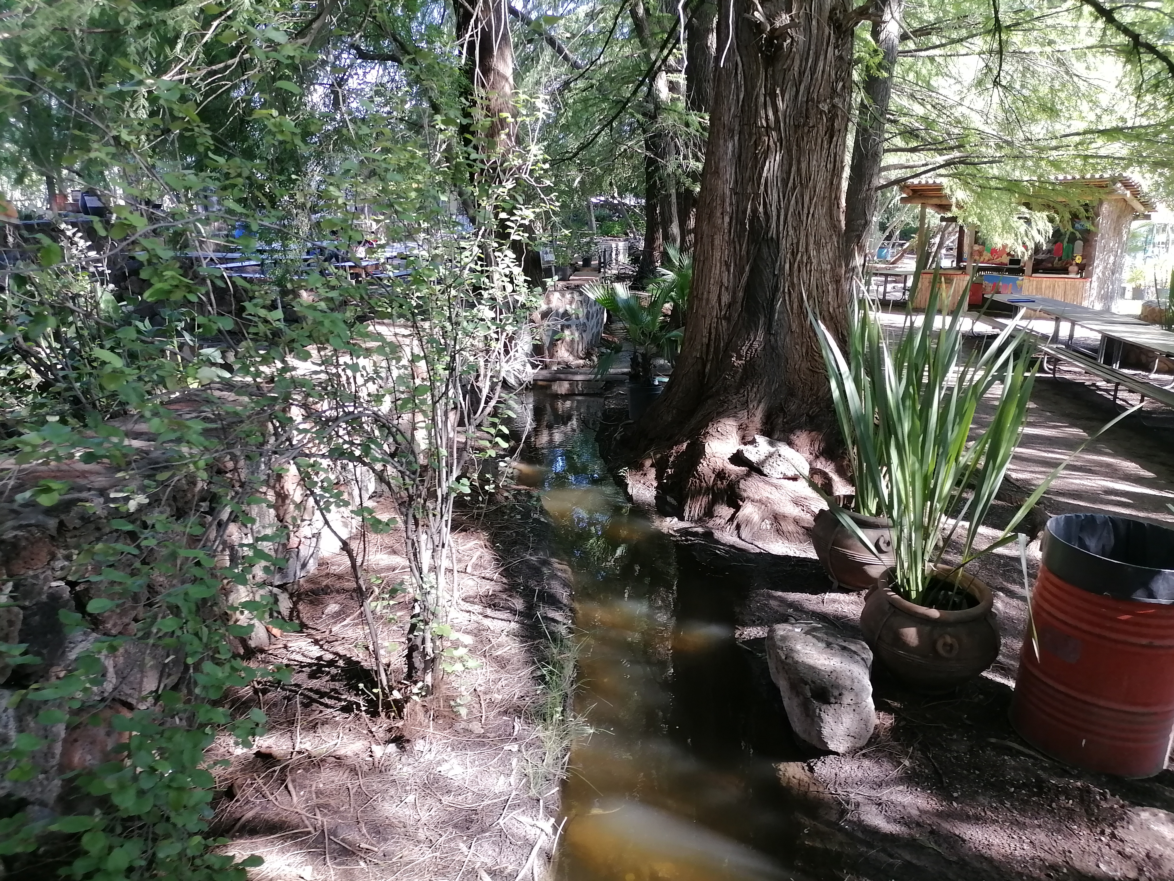 Paraiso Nixtalpan image 4