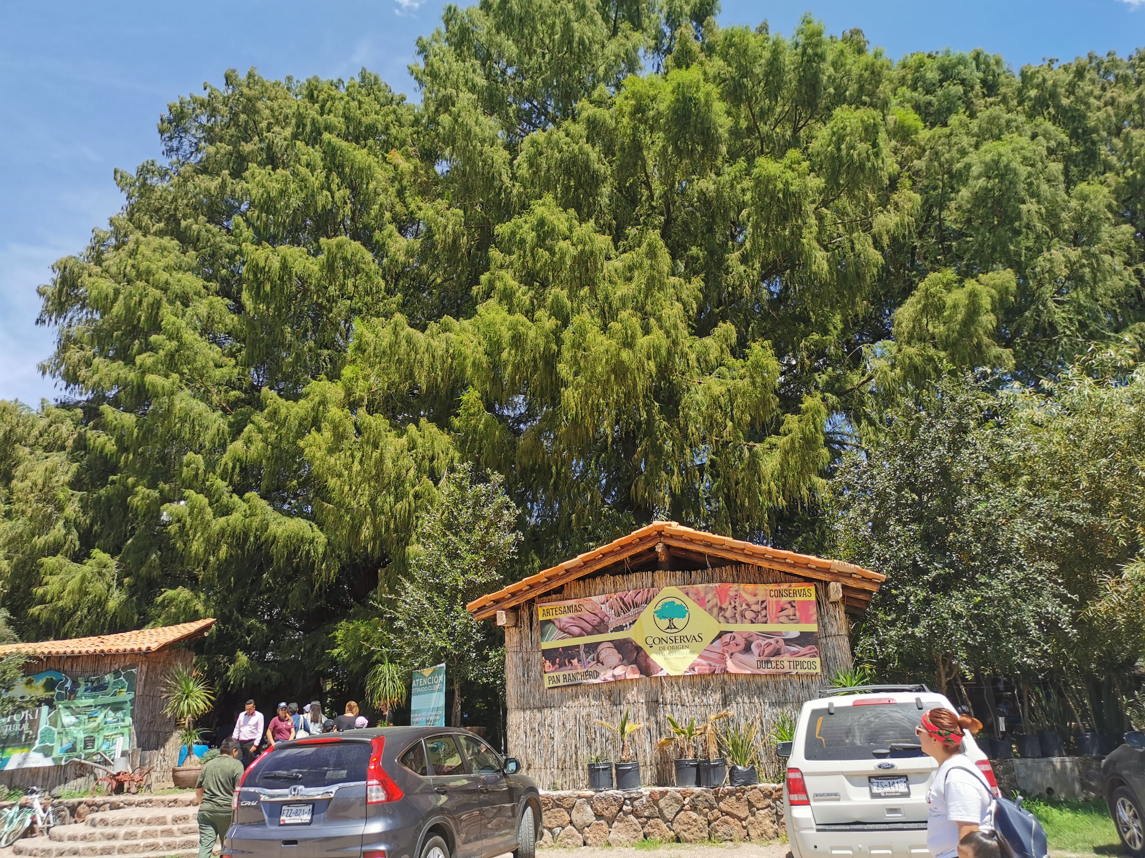 Paraiso Nixtalpan image 8