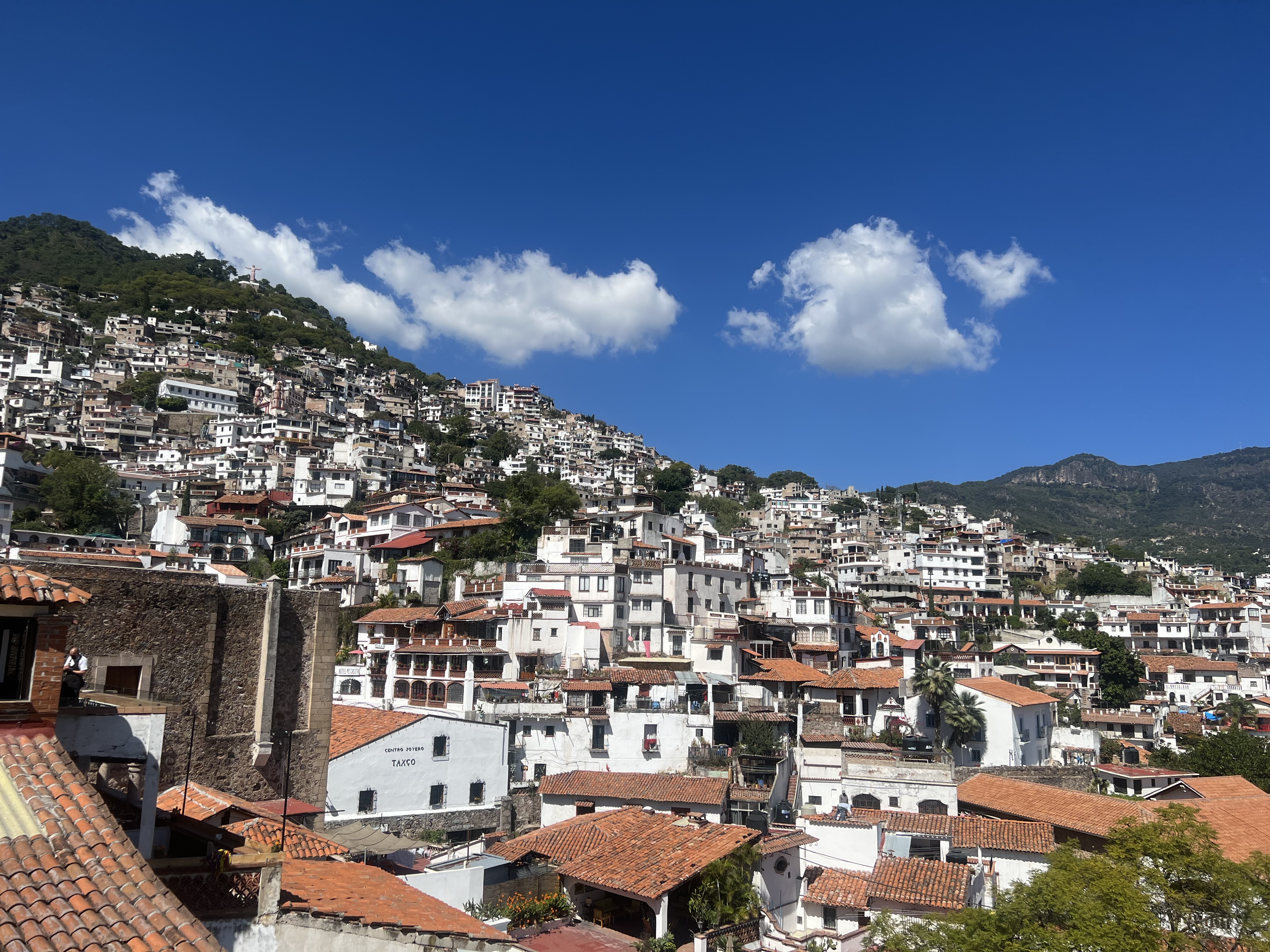 Del Angel Inn Restaurant image 3