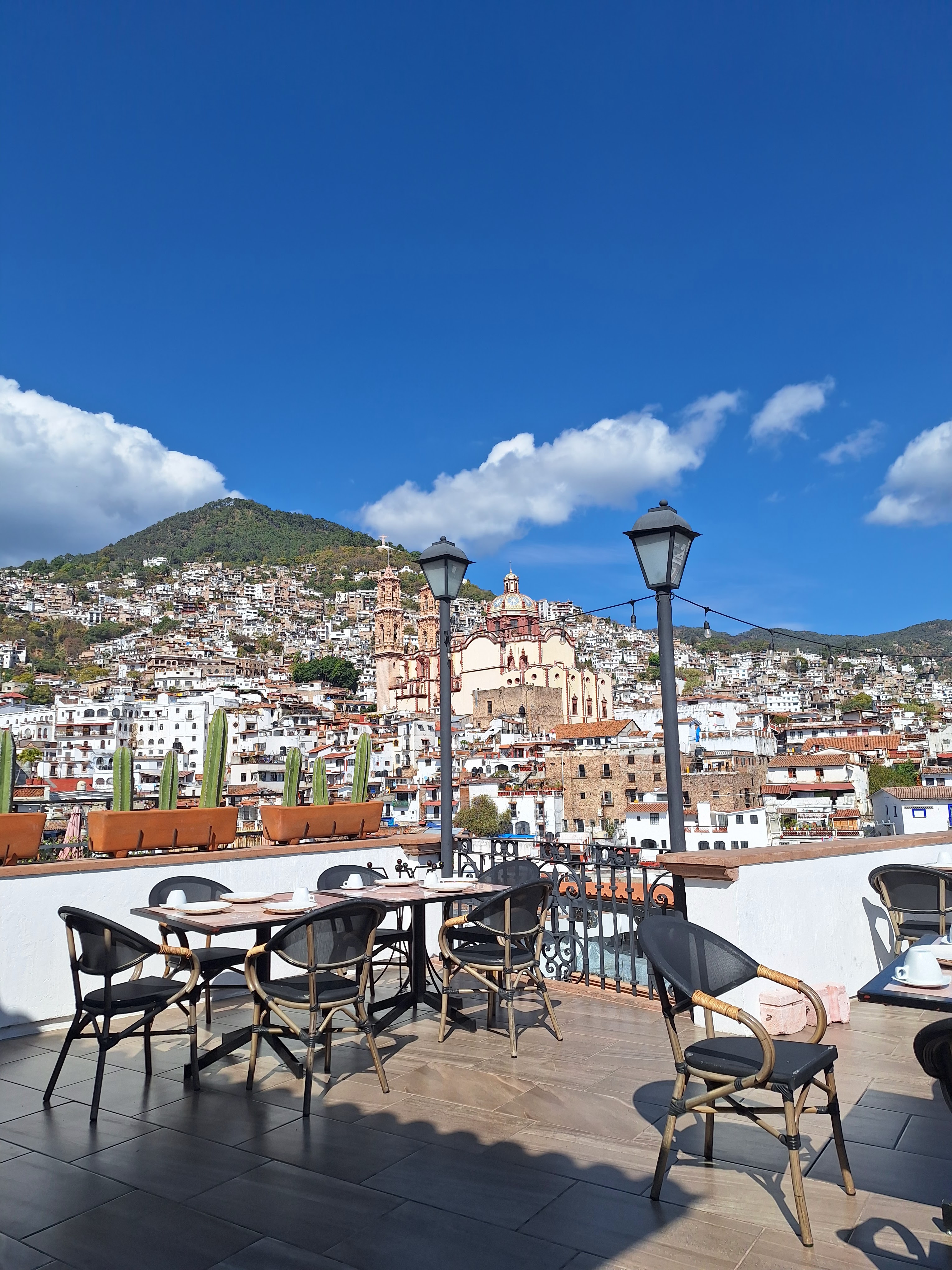 Rosa Amaranto image 1