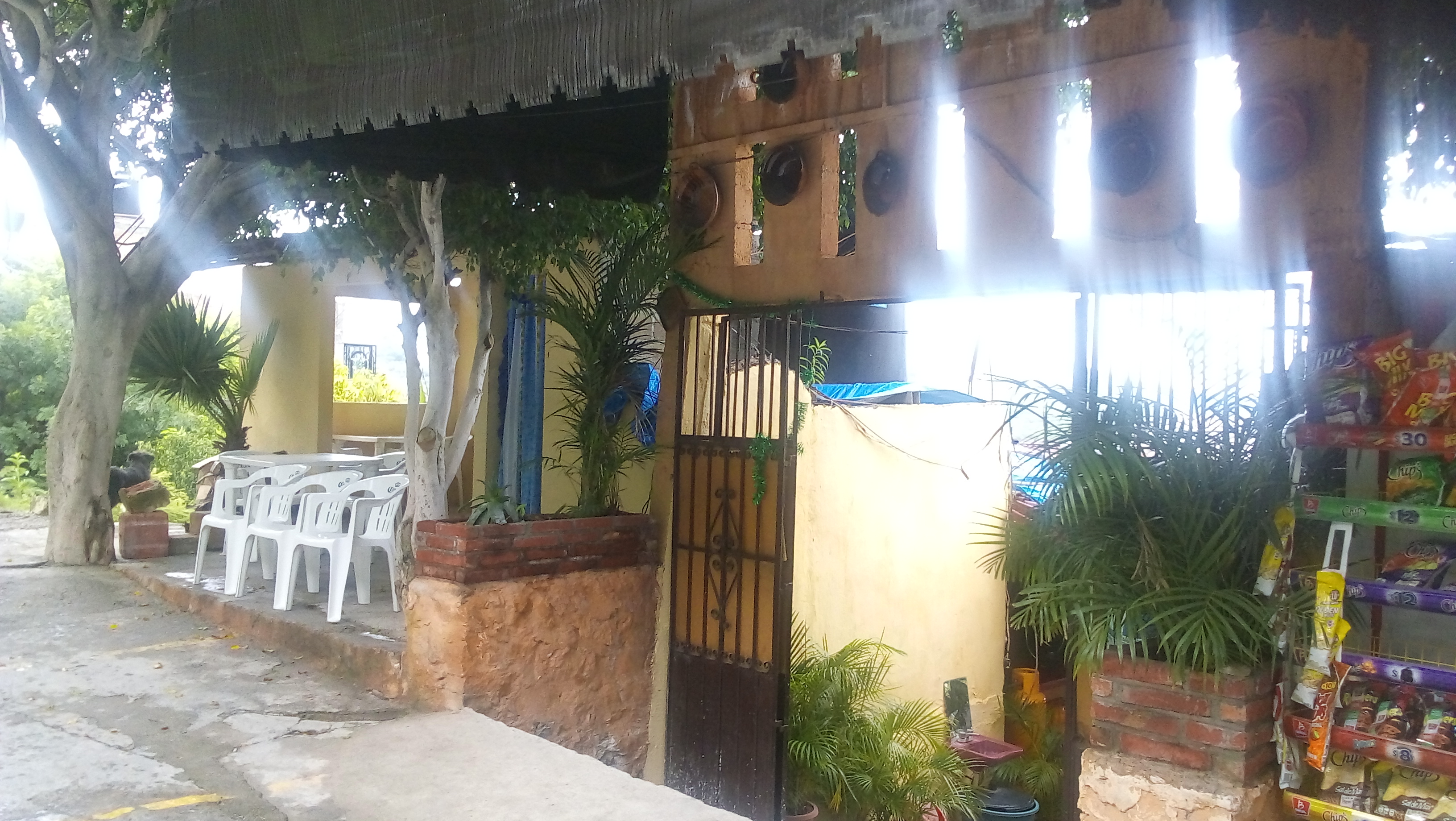 Restaurante Vista Alegre image 5