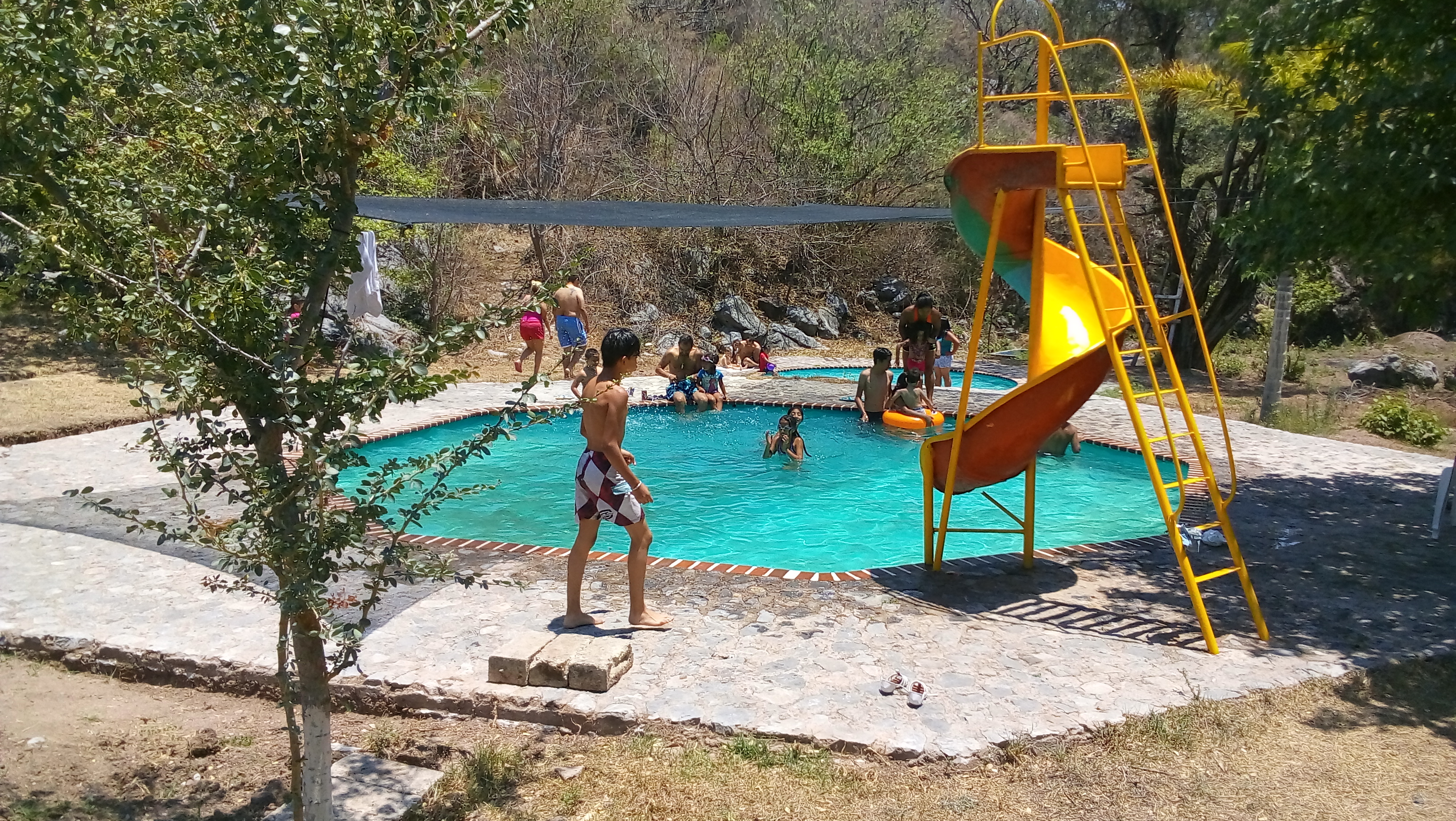 Restaurante Vista Alegre image 6