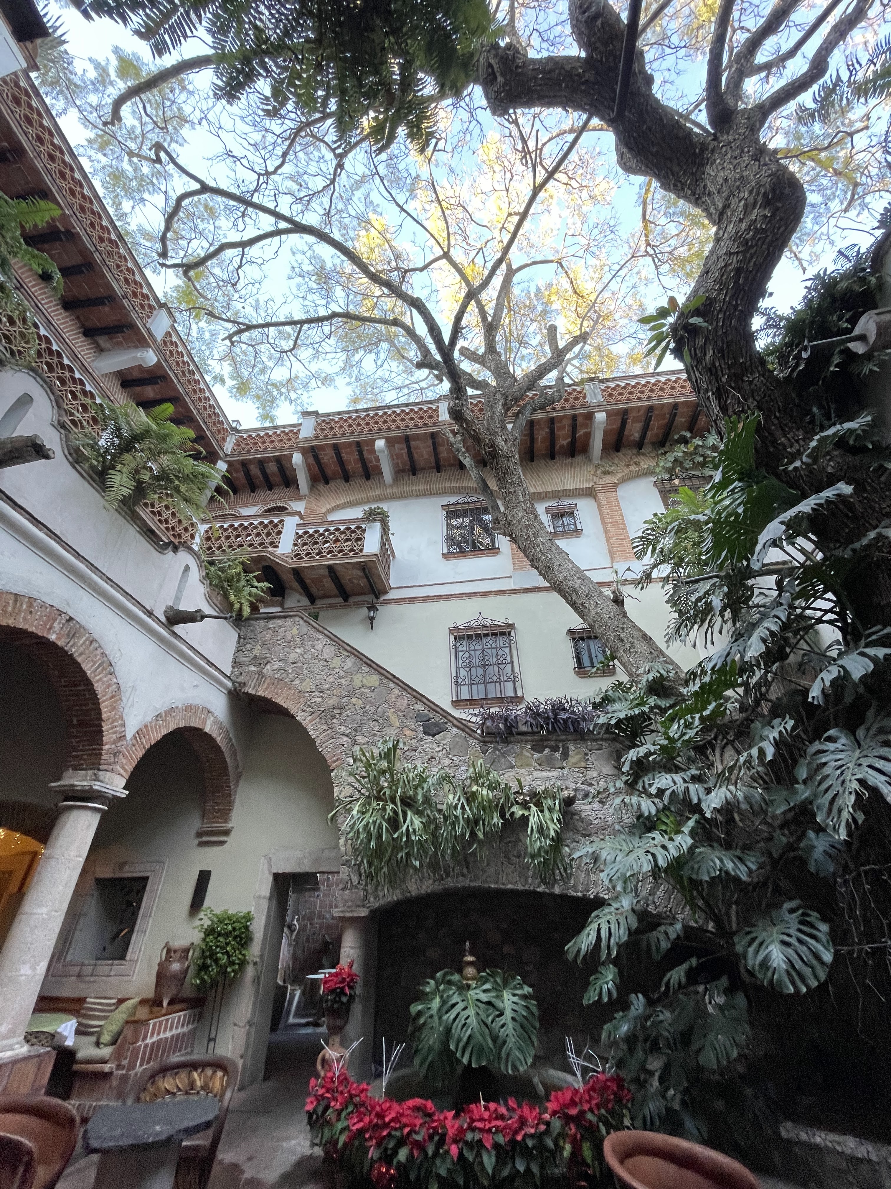 Sotavento Restaurante Bar image 3