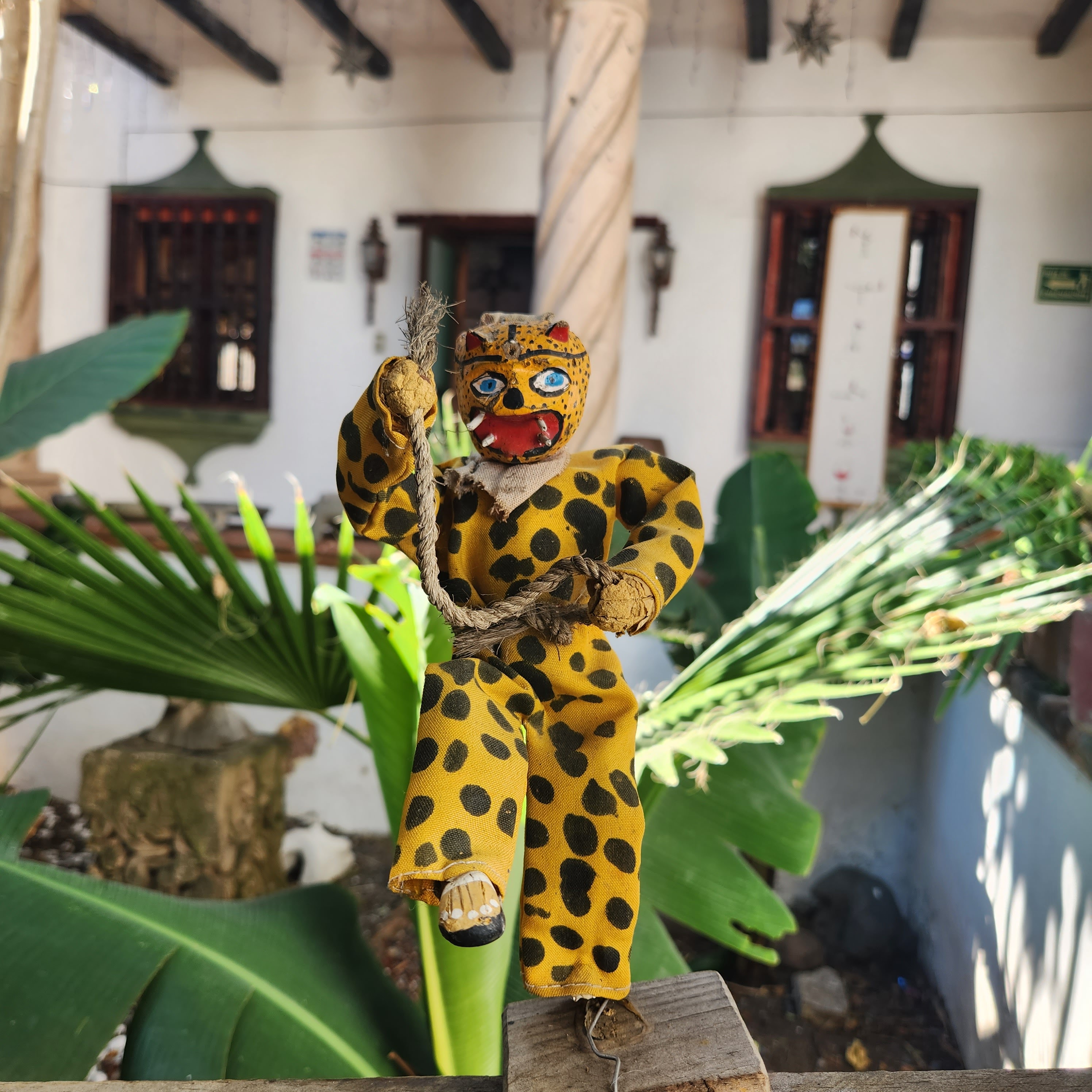 Casa Spratling image 9