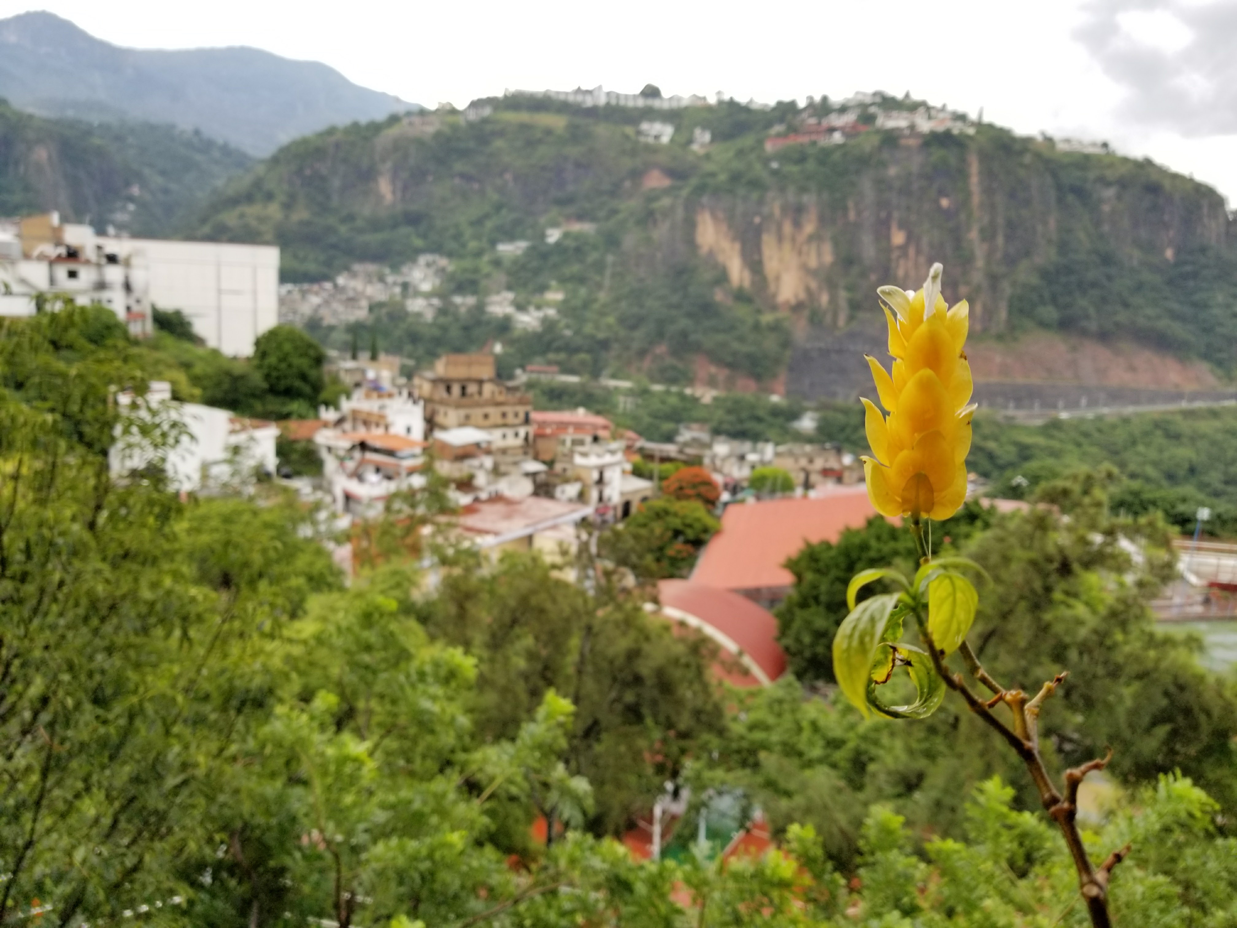 Restaurante el mirador image 6