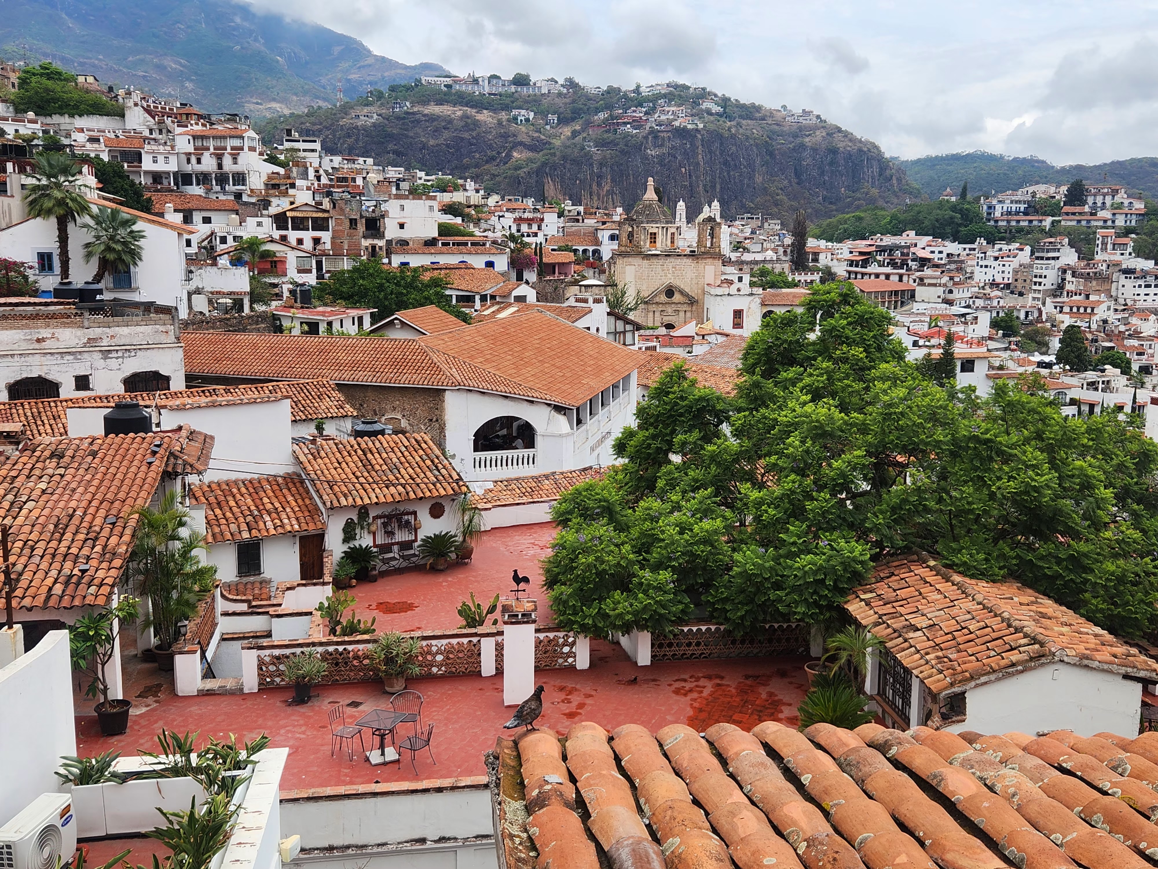 Restaurante El Atrio image 3