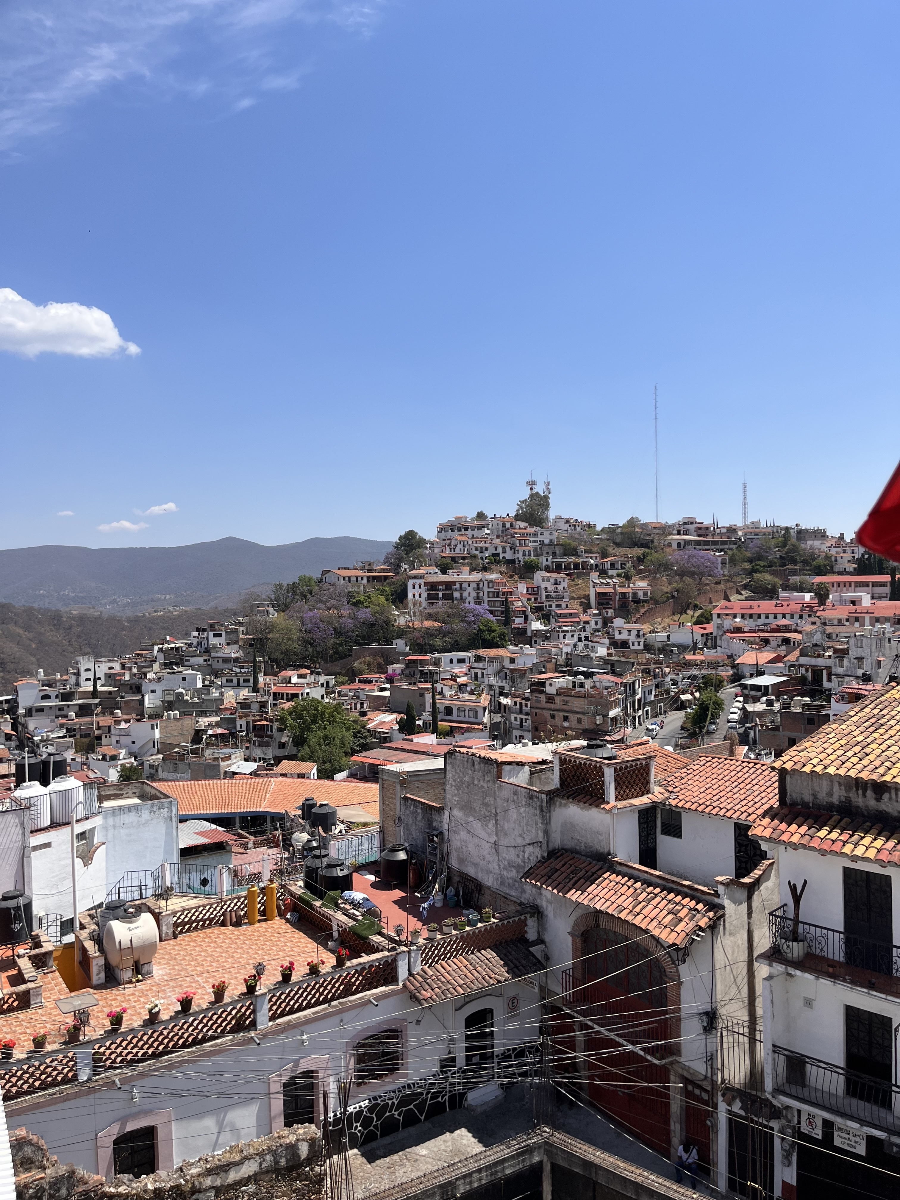 De Totopo y Salsa image 6