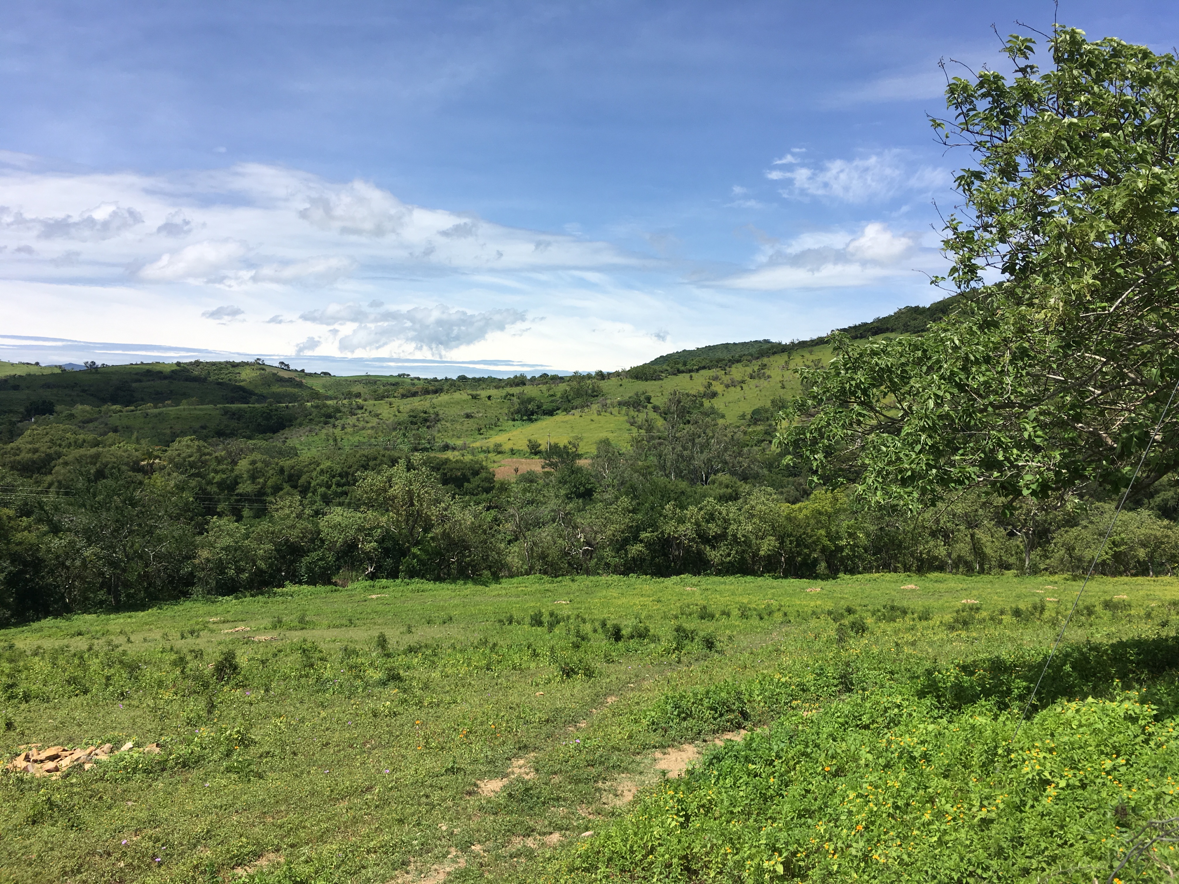 Restaurante Xochitl image 8