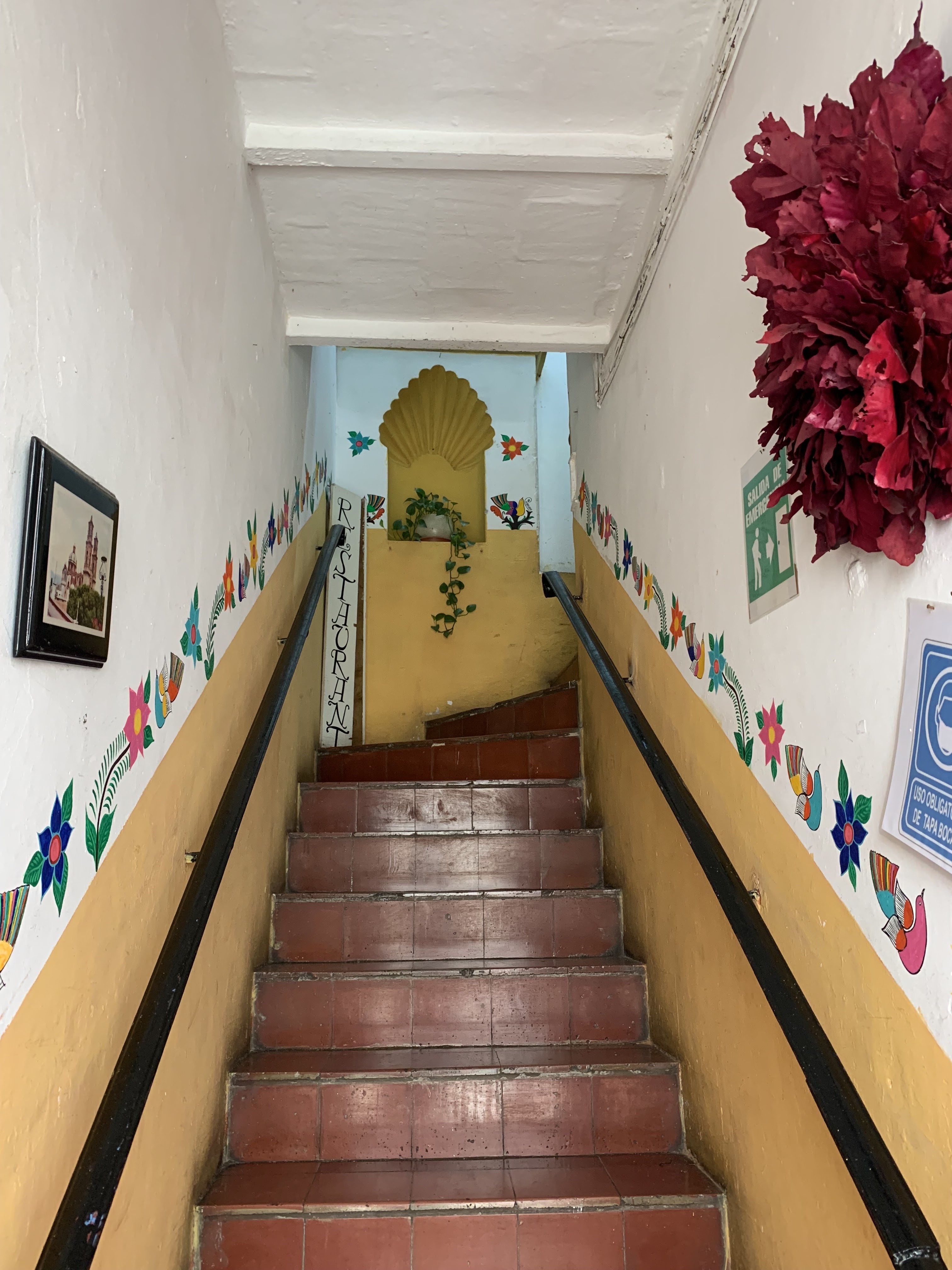 La Bella Vista Tonalli image 9