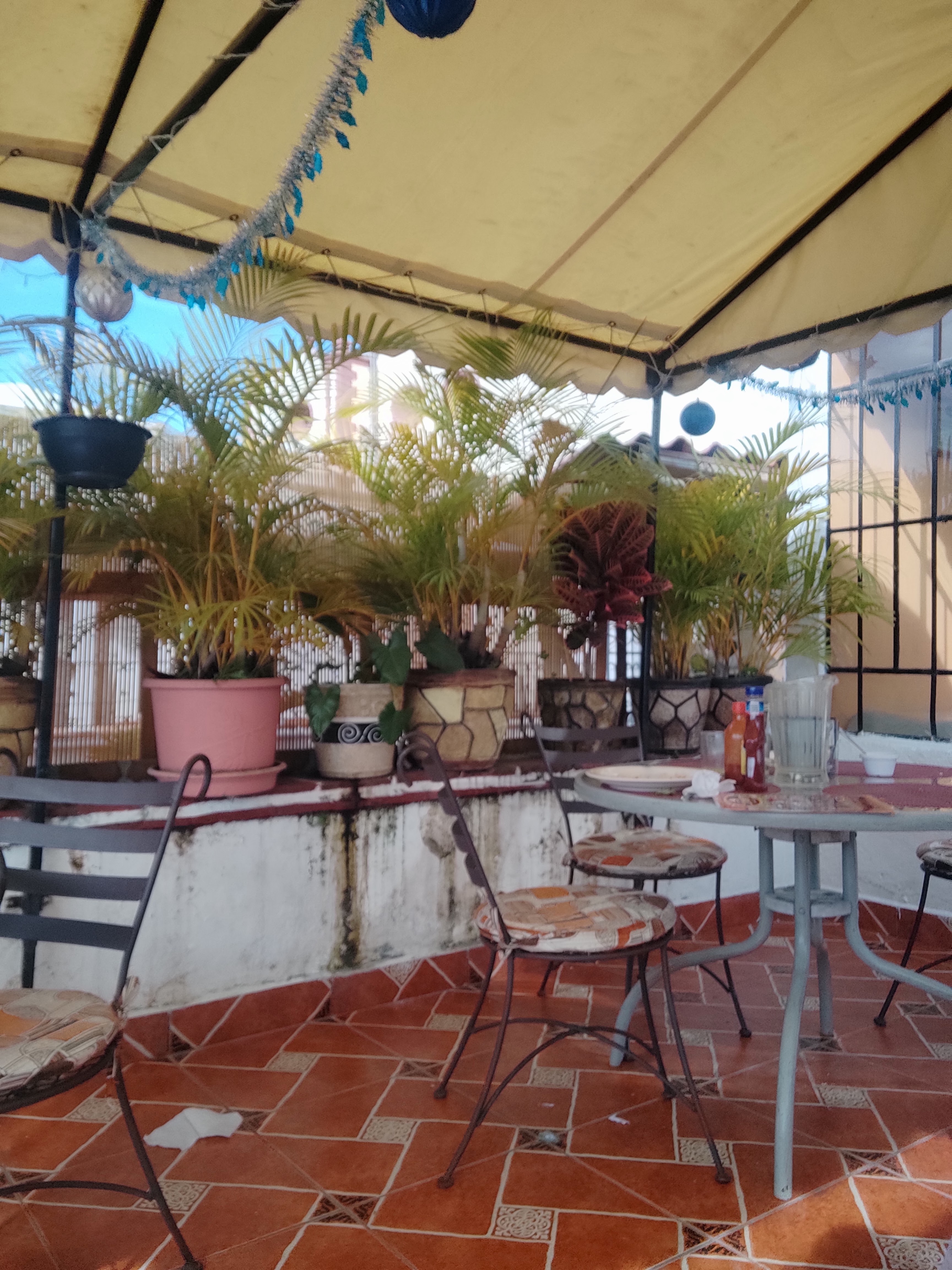 La Bella Vista Tonalli image 10