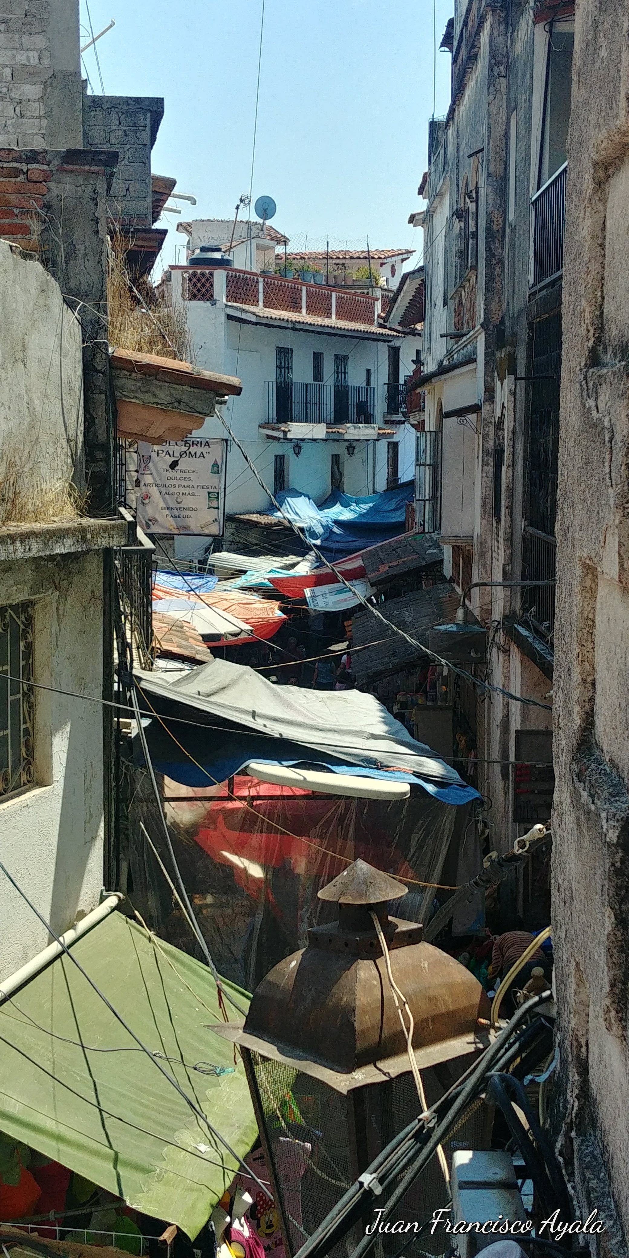 Yara's Pizza -Restaurant image 10