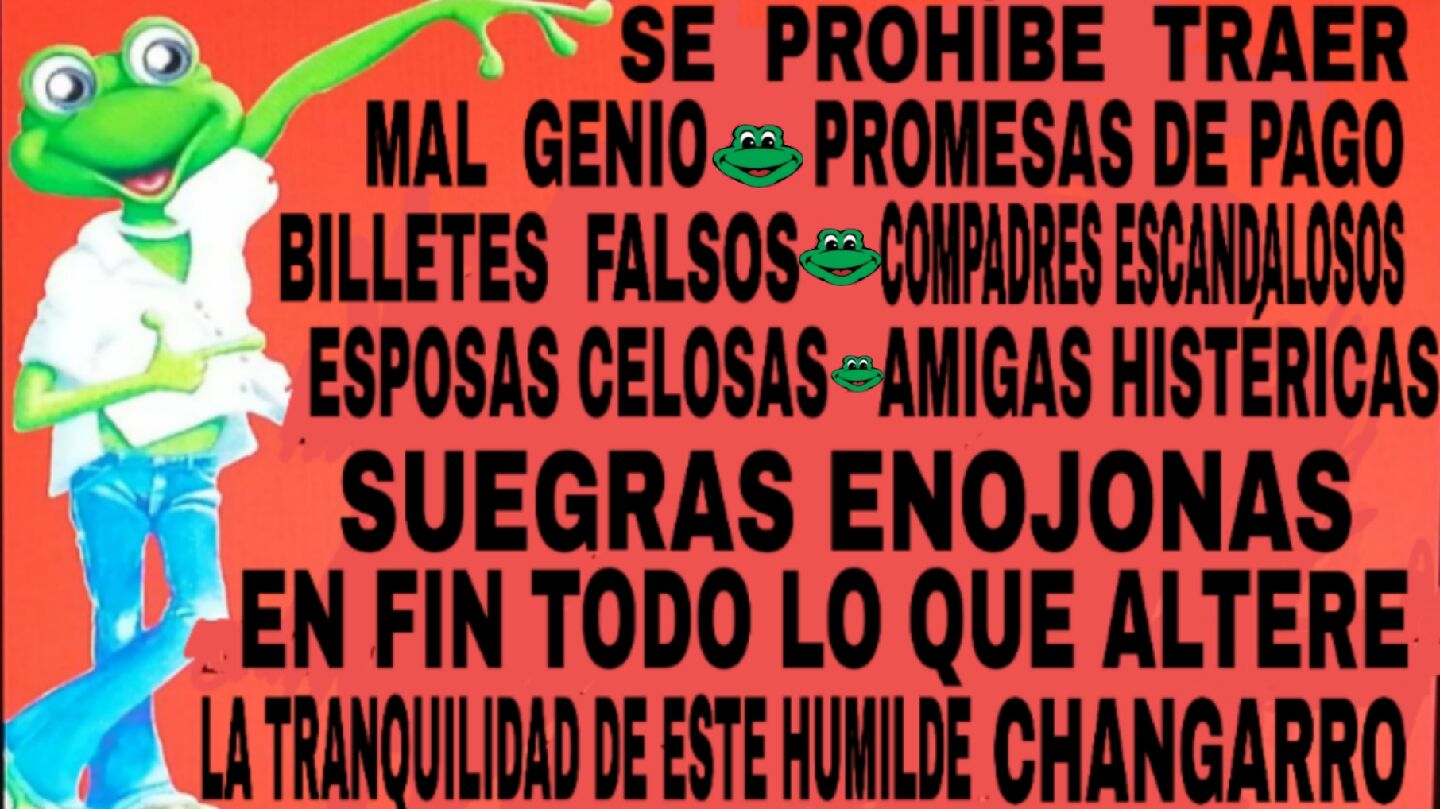 El Mesón De Las Ranas image 3