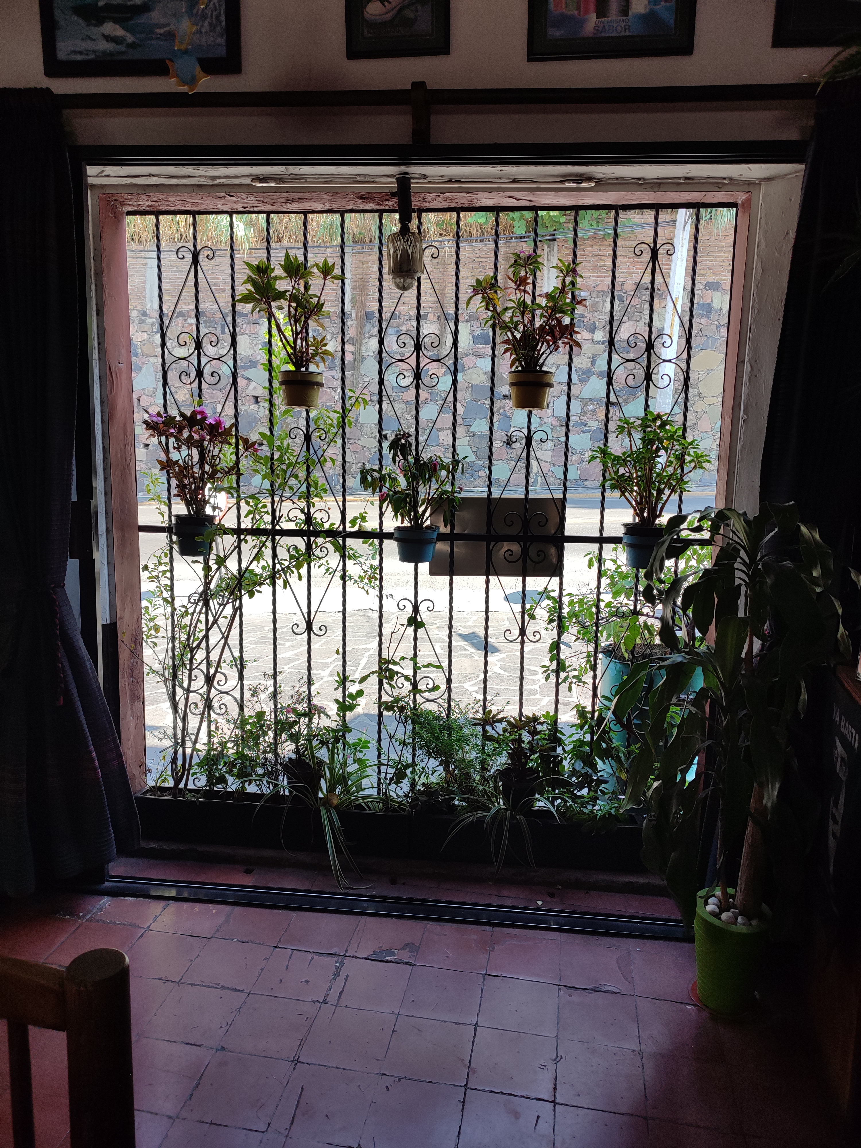 El Mesón De Las Ranas image 9