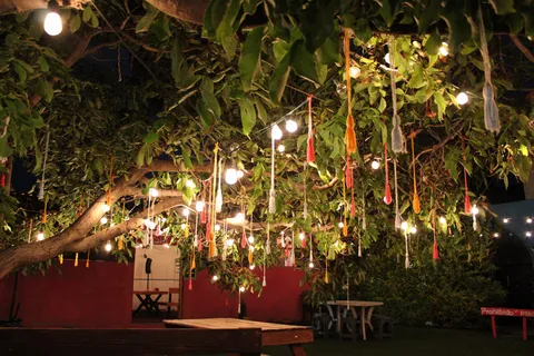 Calli Restaurante bar image 3