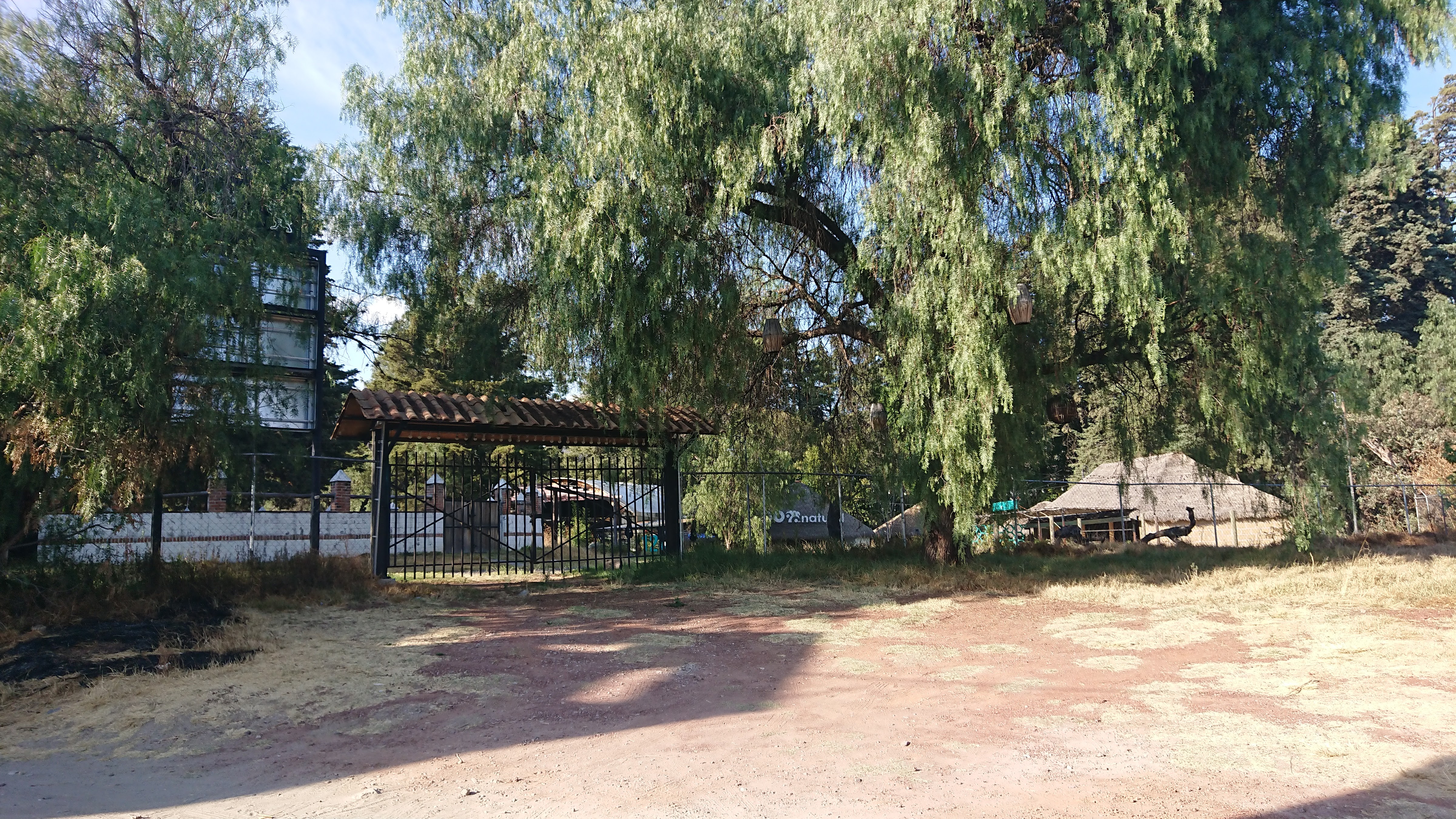 Restaurante 12 + 12 image 2