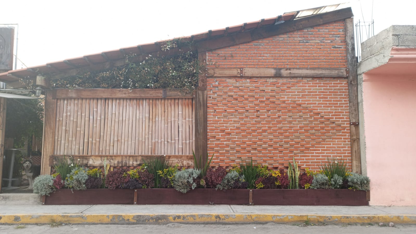 UROBORO TLAXCALA image 7