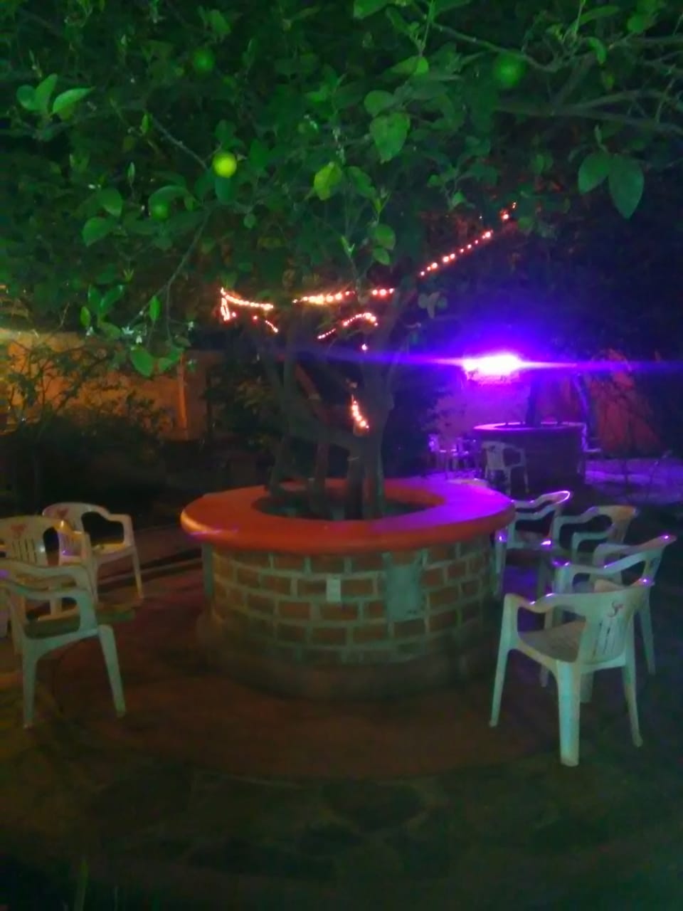 Restaurante bar familiar los yugos image 3