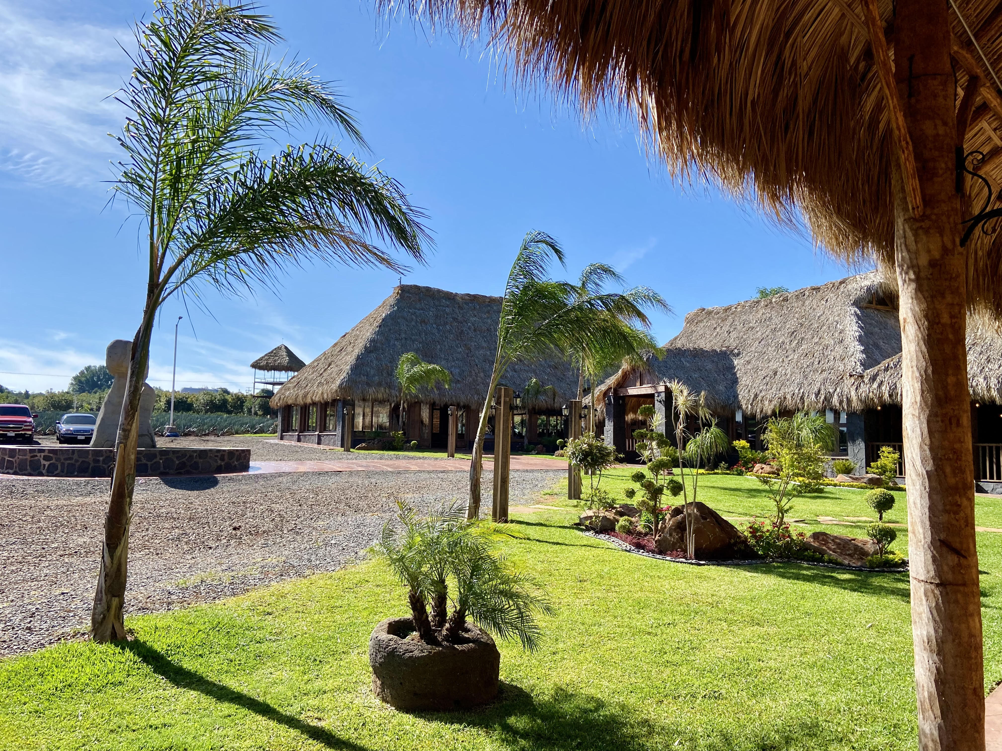 Cántico de Asís image 4