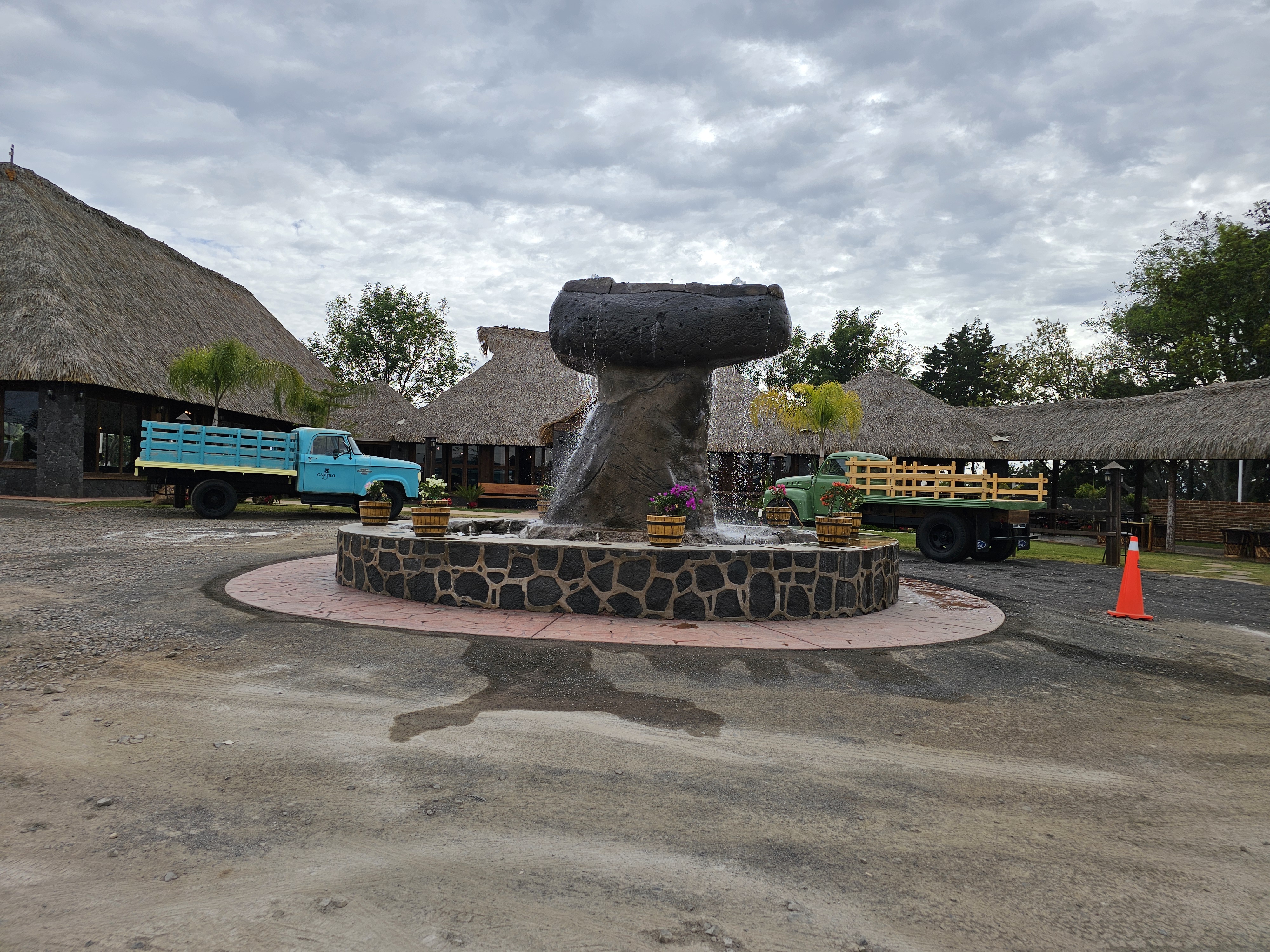 Cántico de Asís image 5