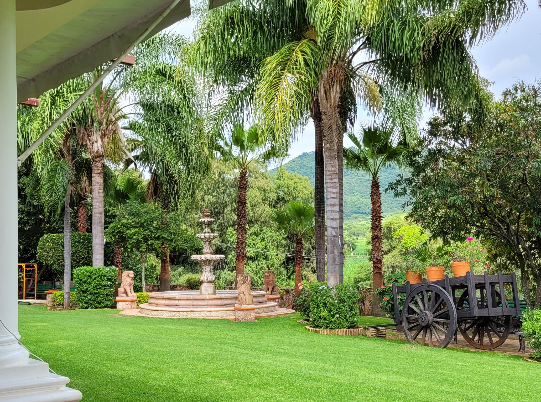 Restaurant Bar Real Campestre image 5