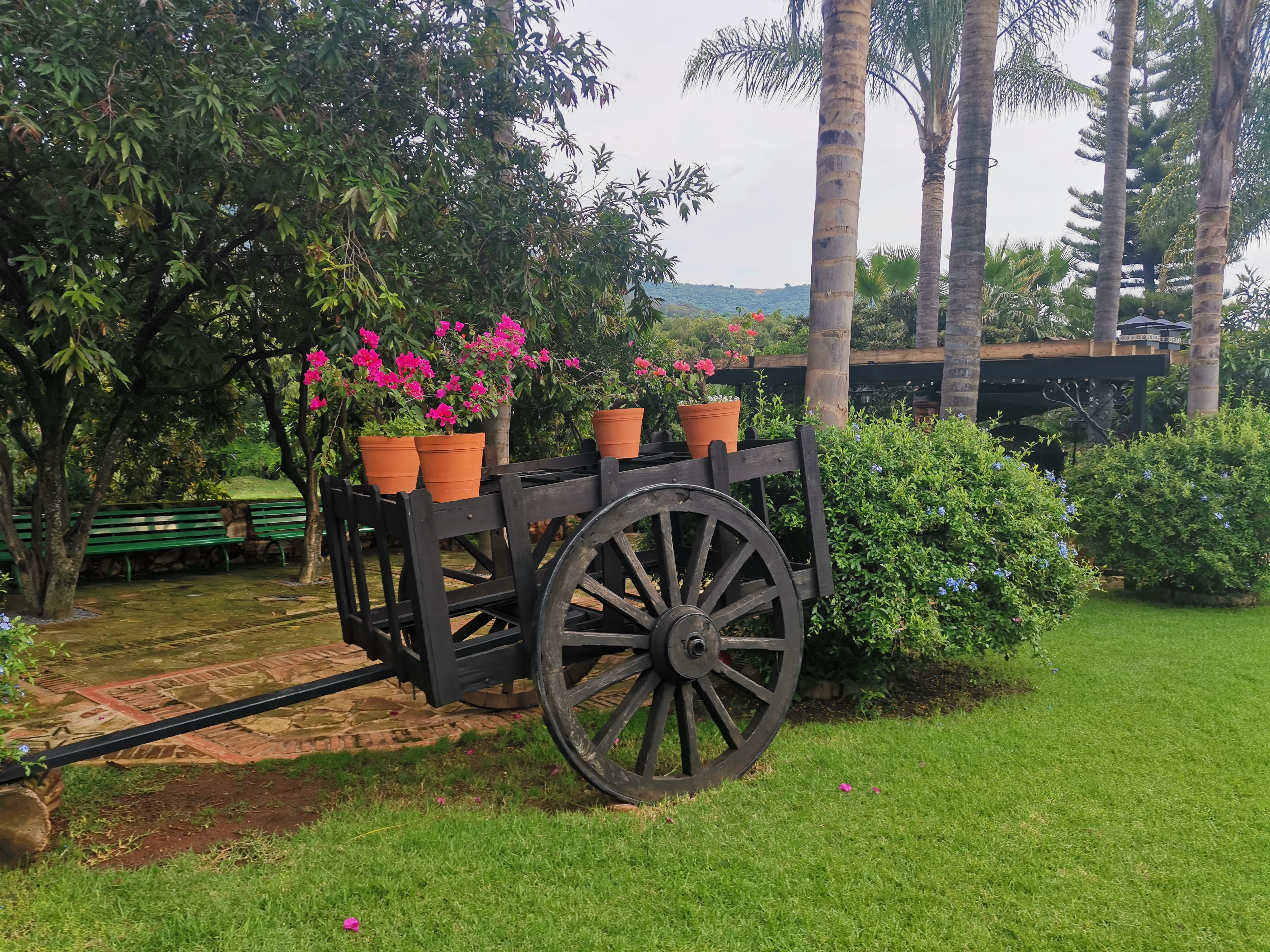 Restaurant Bar Real Campestre image 7