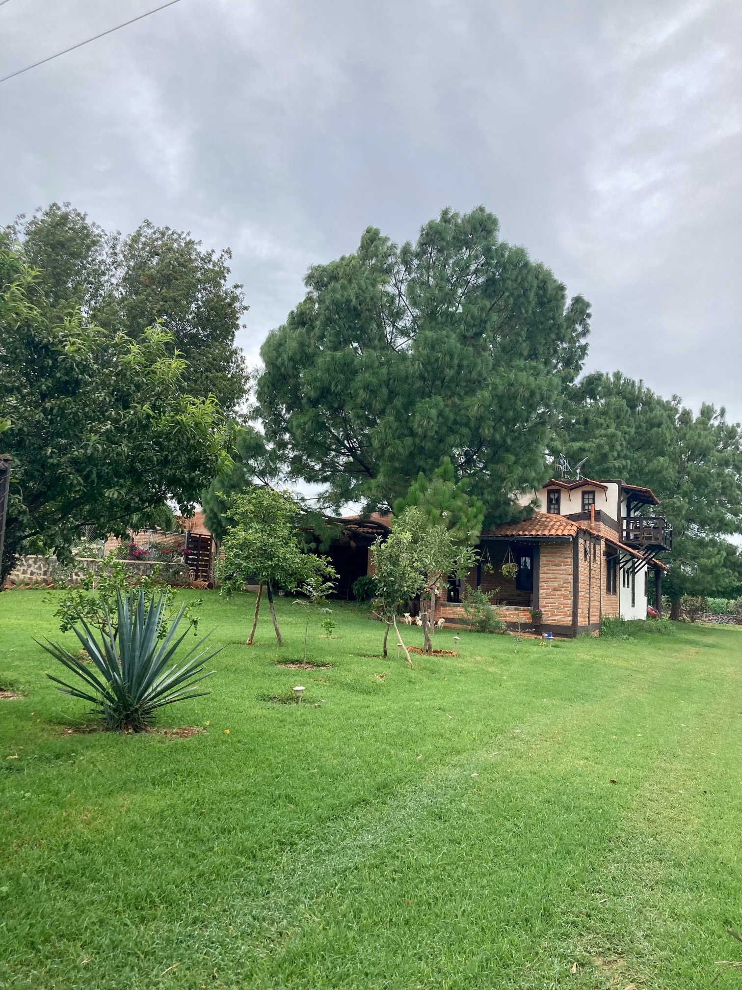 Ancestral Restaurante image 3